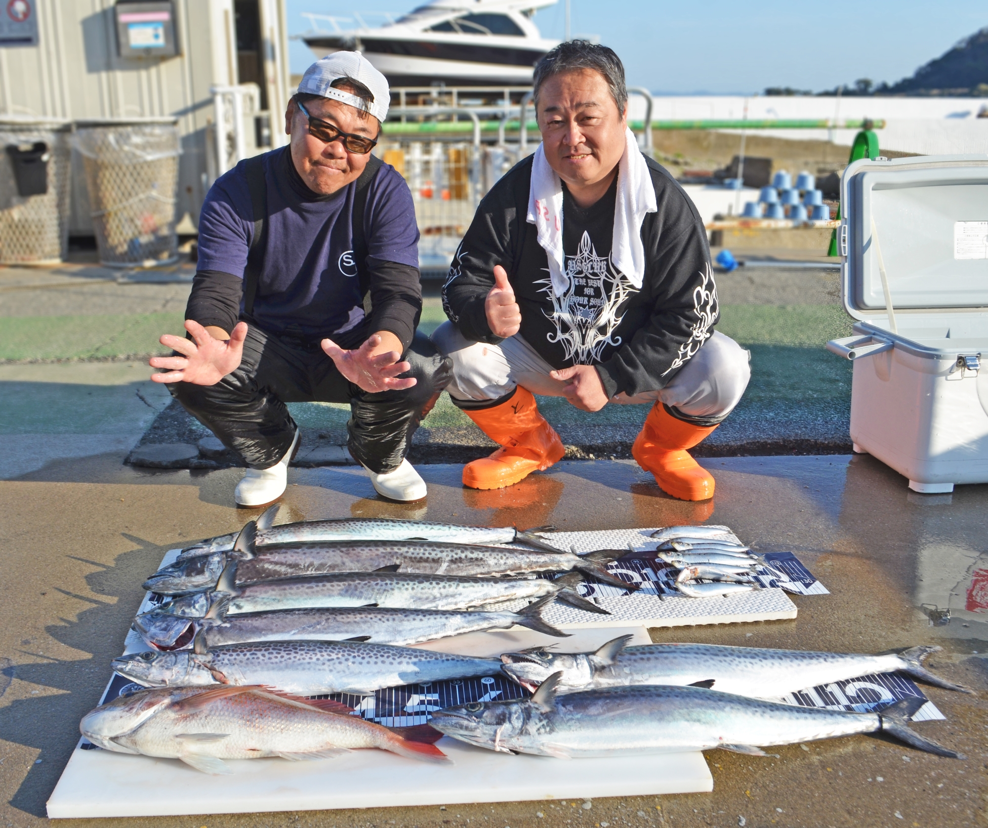 ✿サワラ・マダイ✿