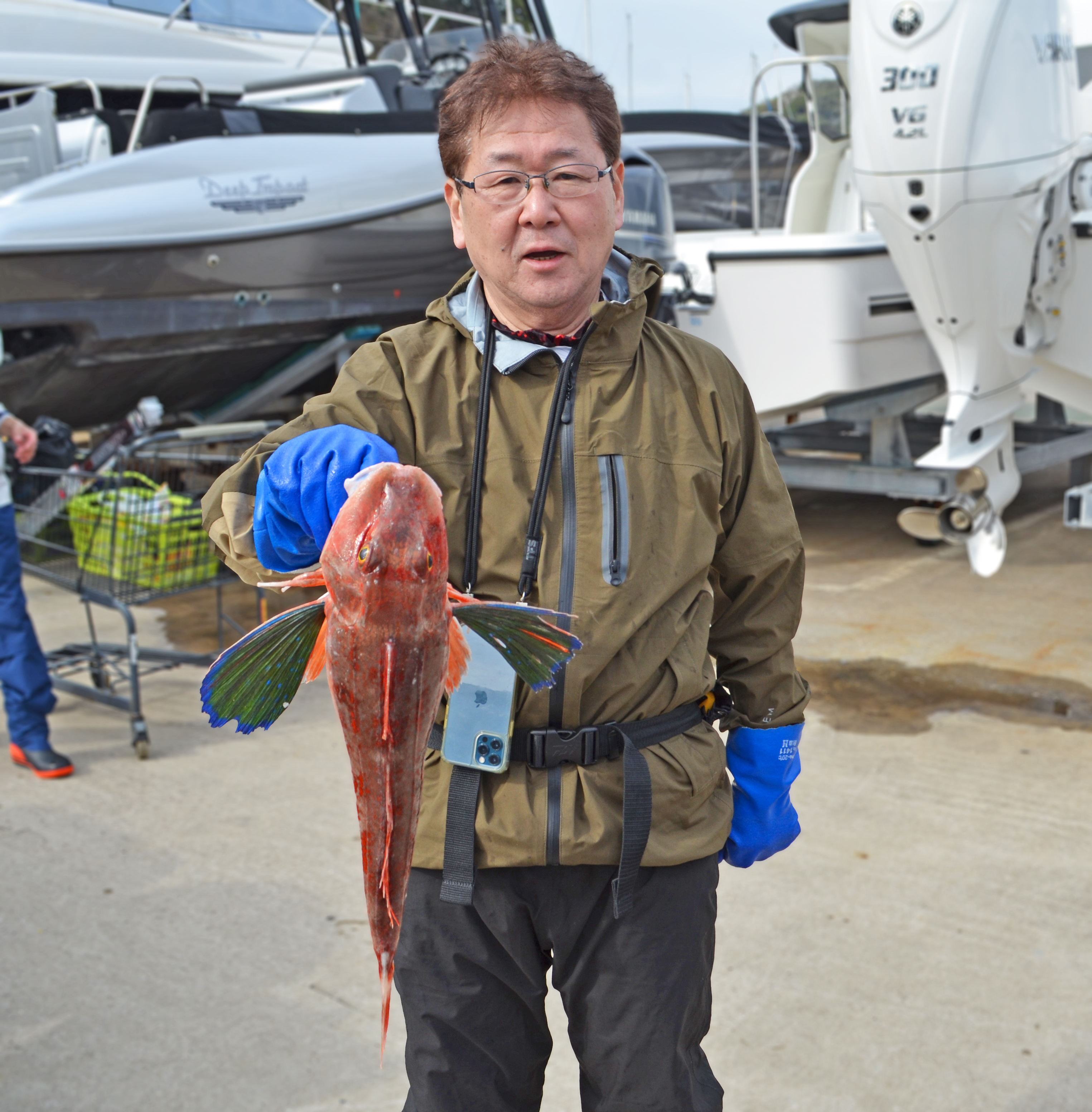 ✿BIGホウボウ✿