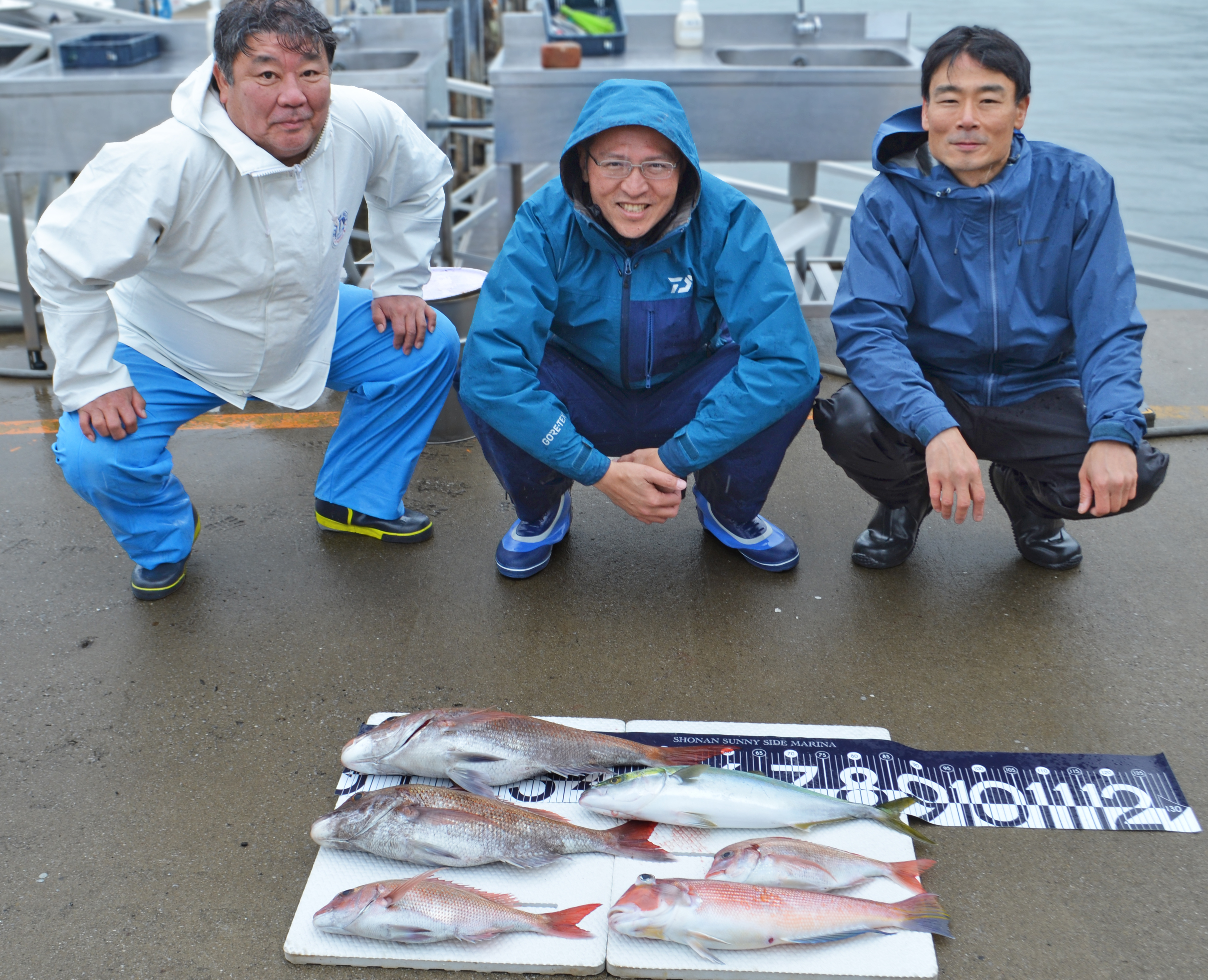 ✿マダイ・イナダ・チダイ・アマダイ✿