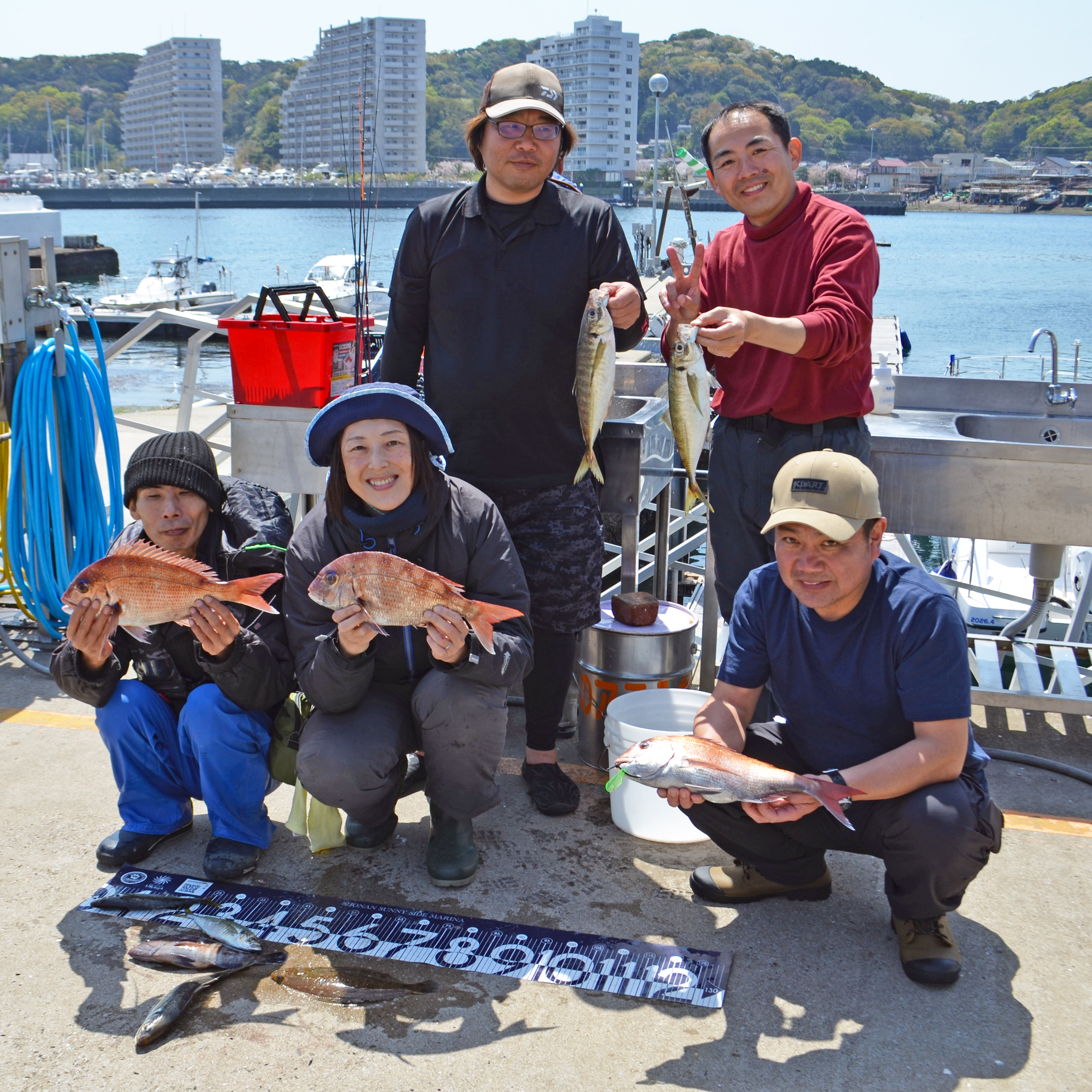 ✿マダイ・アジ・マハタ・ムシガレイ✿