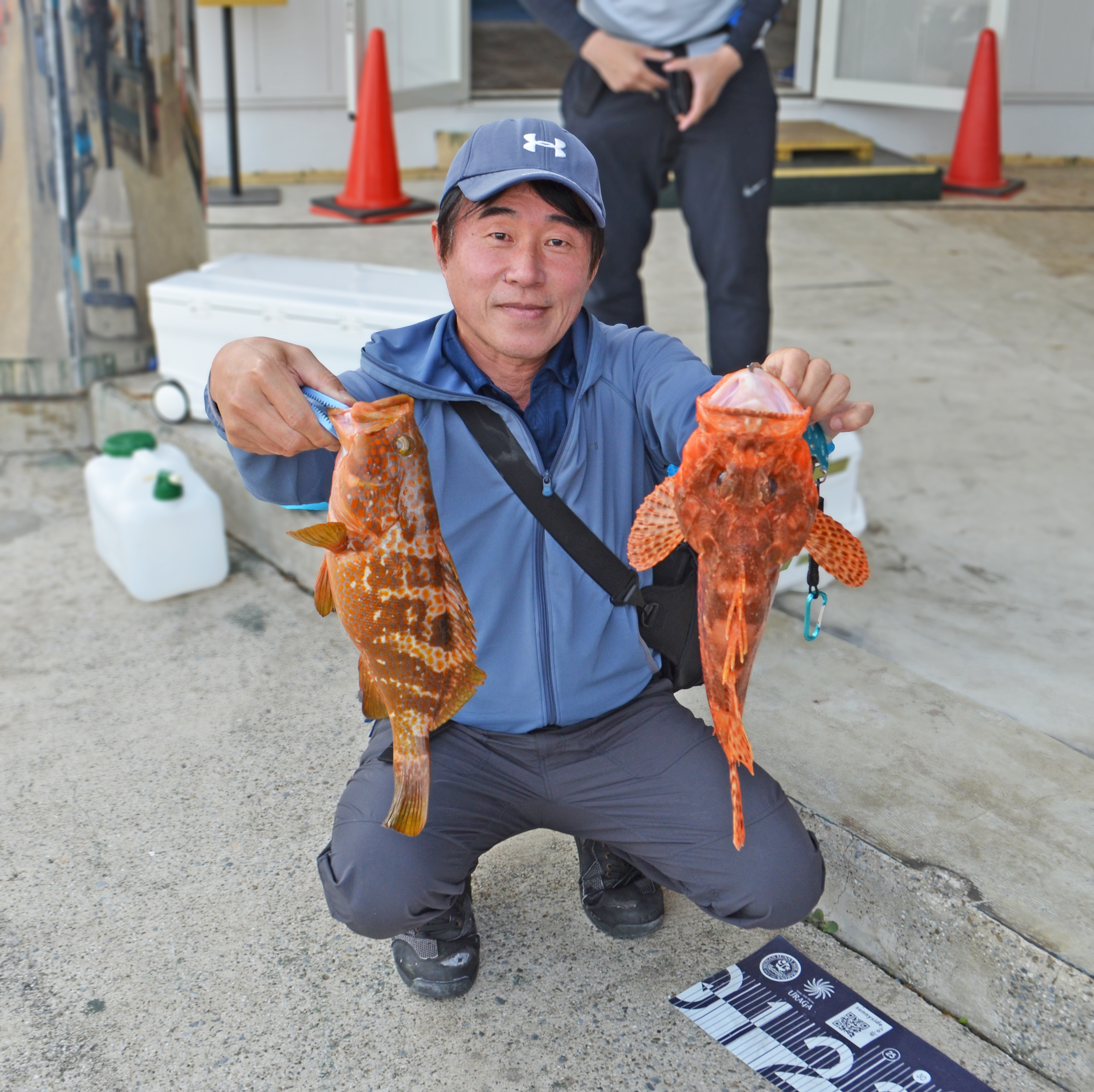✿オニカサゴ・キジハタ✿