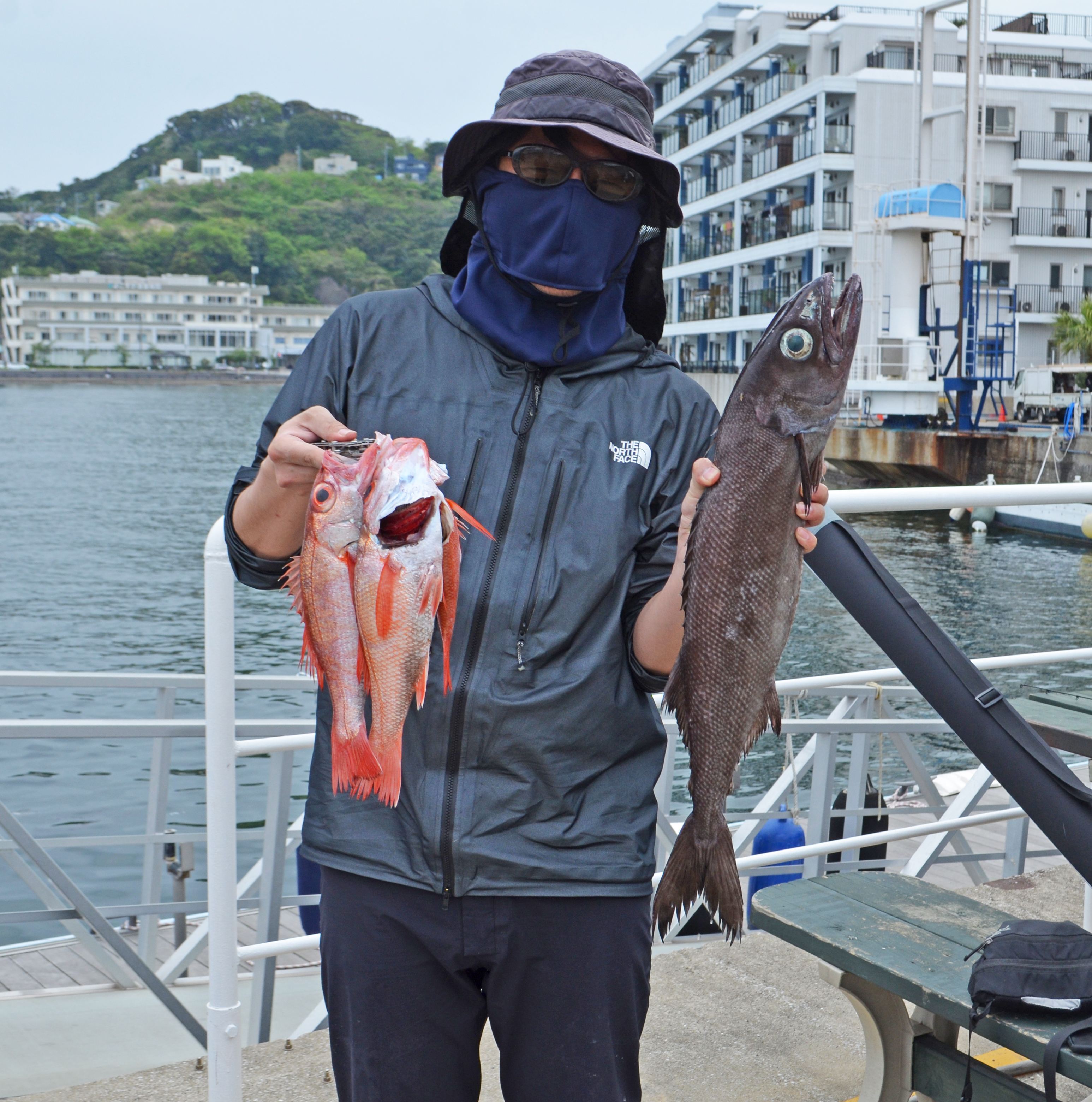 ✿シマガツオ・バラムツ・アカムツ・シロムツ・サバ・カサゴ✿