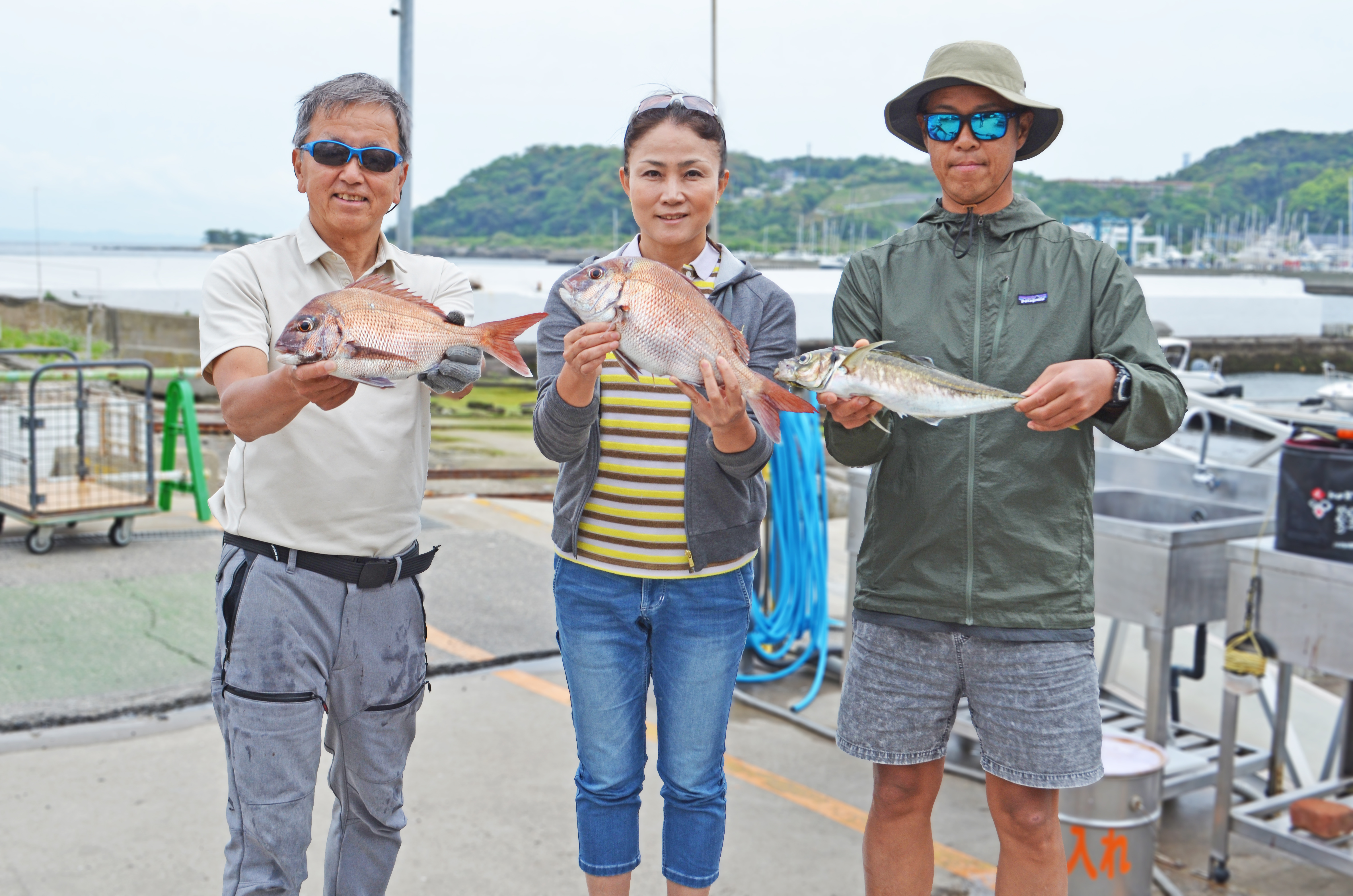 ✿マダイ・アジ✿