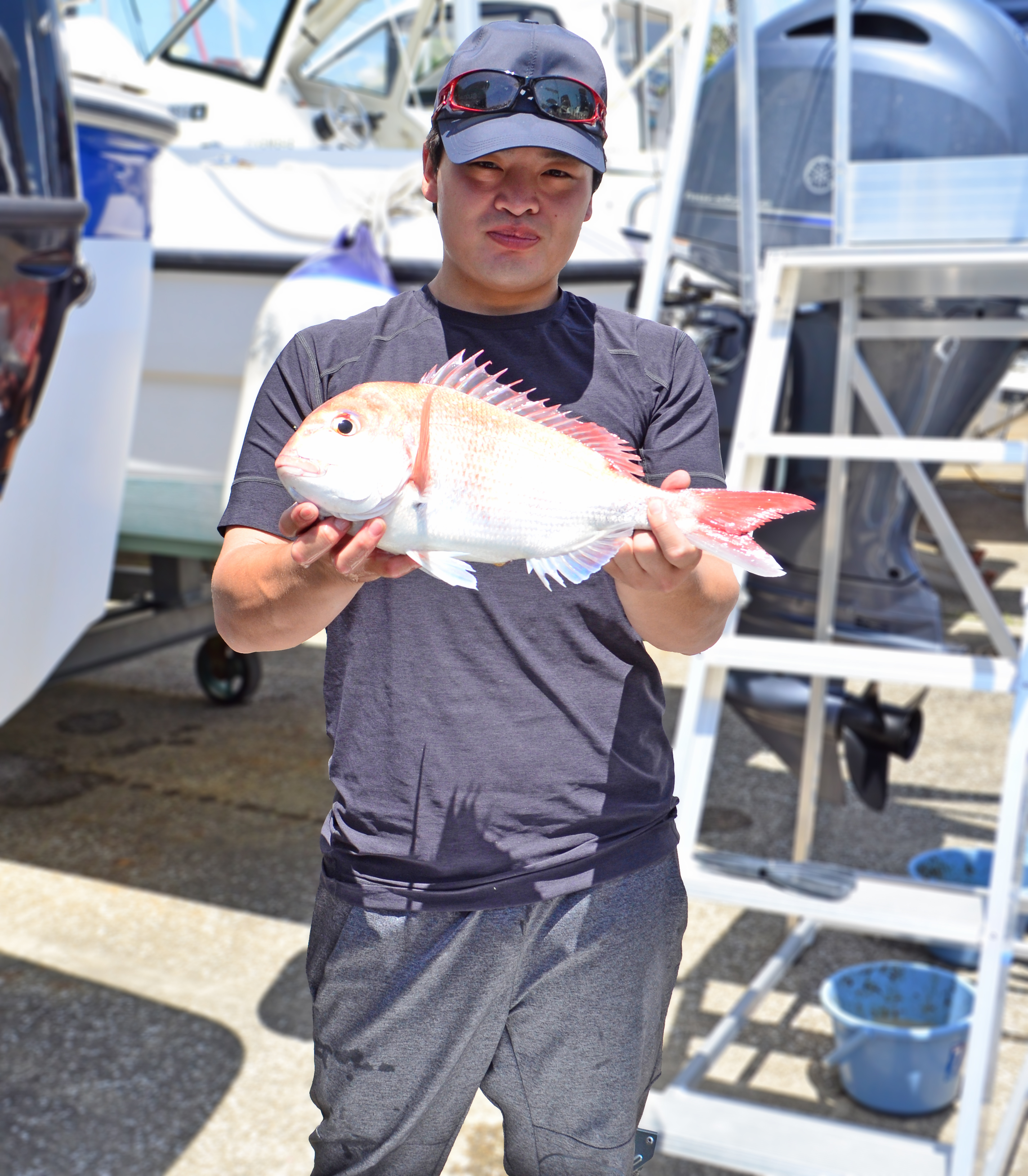 ✿アジ・マダイ✿