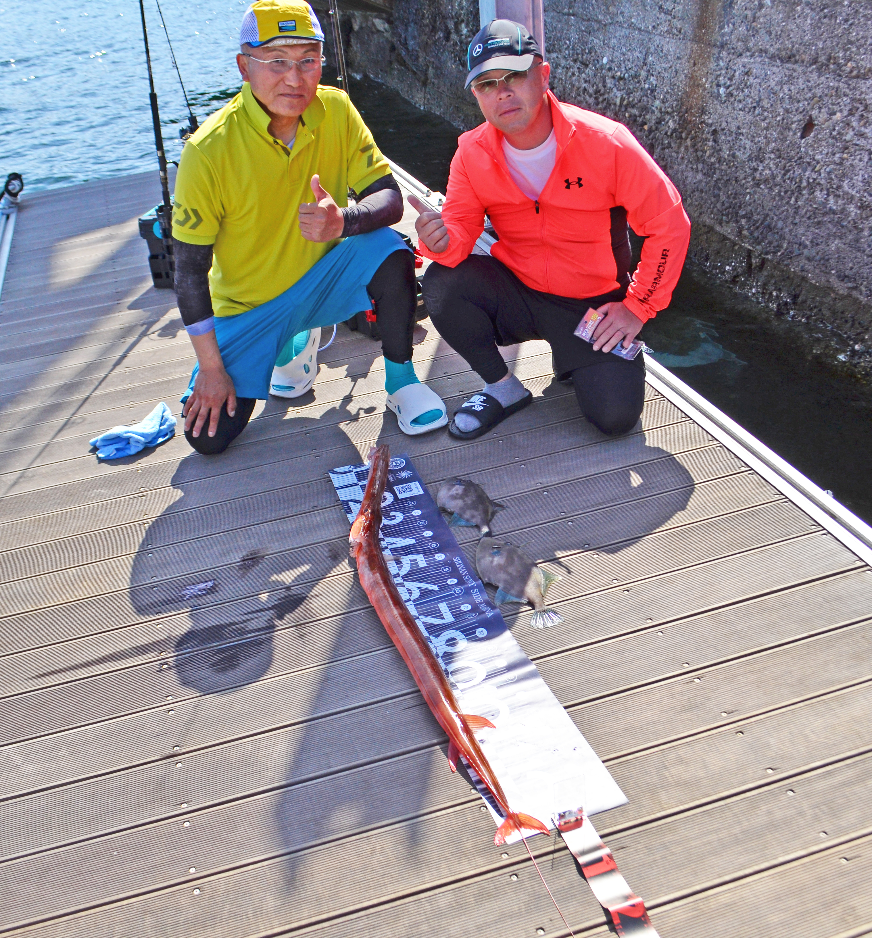 ✿アカヤガラ・ウマヅラハギ✿