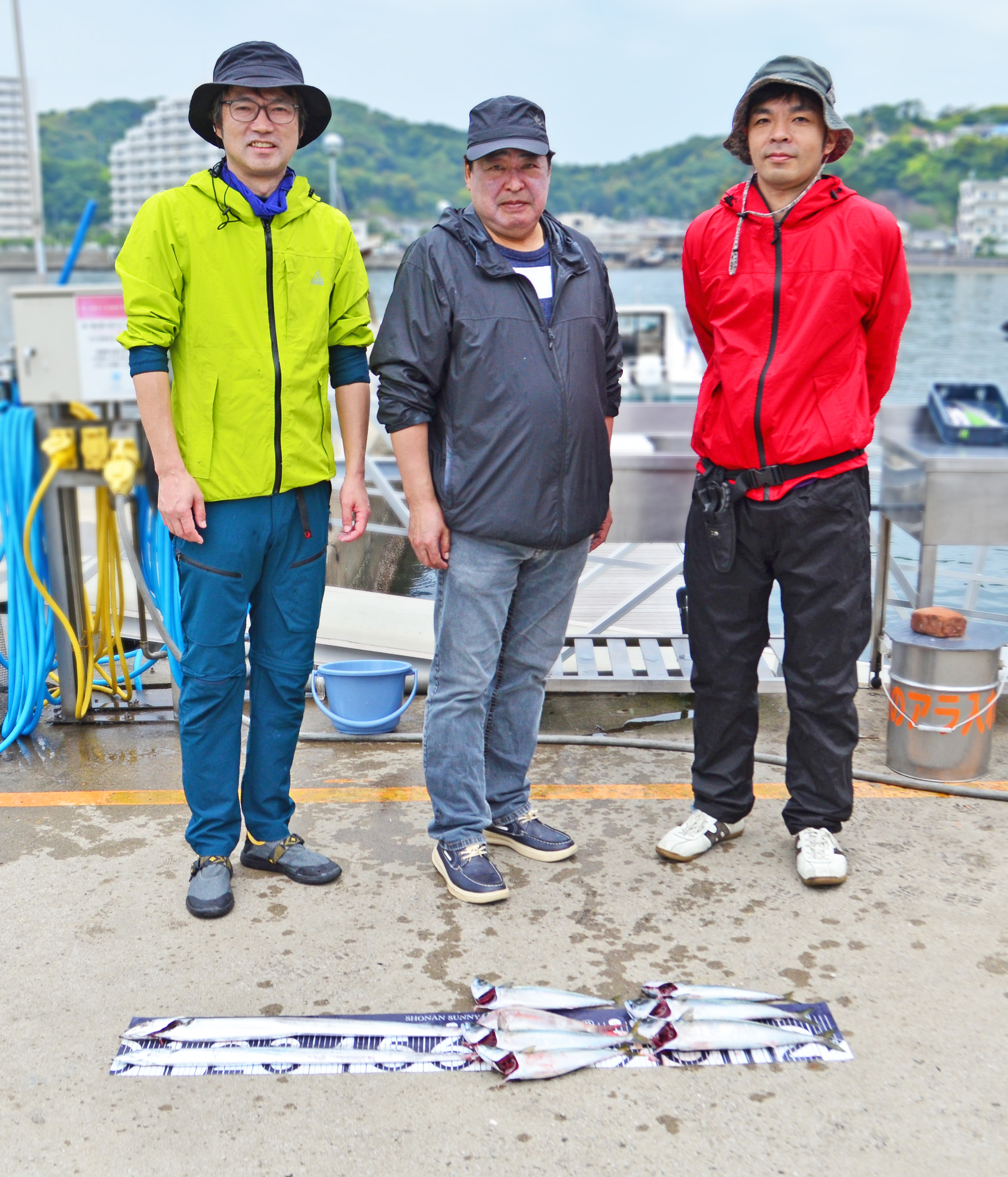 ✿タチウオ・サバ・マダイ✿