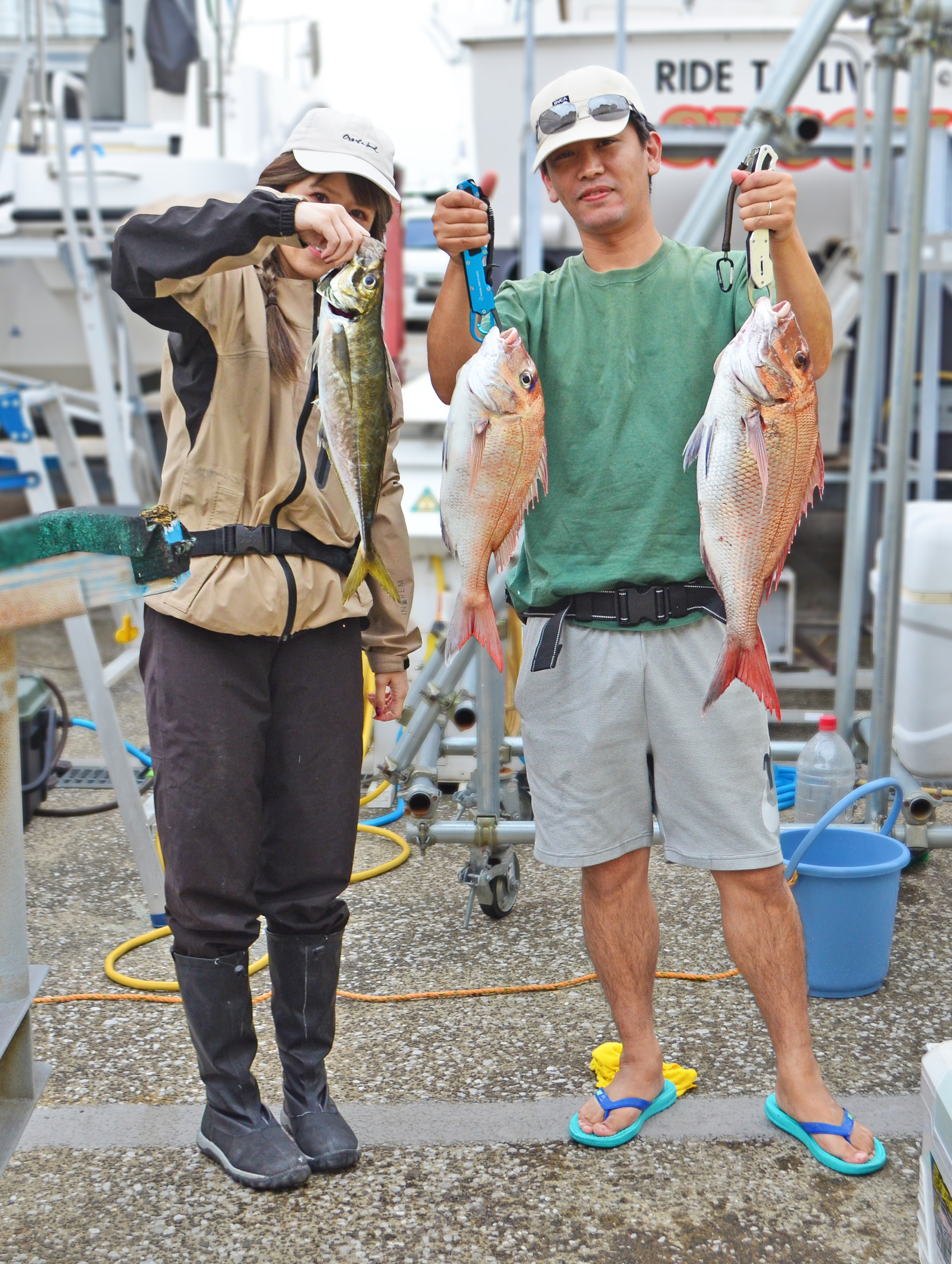 ✿マダイ・アジ・サバ✿