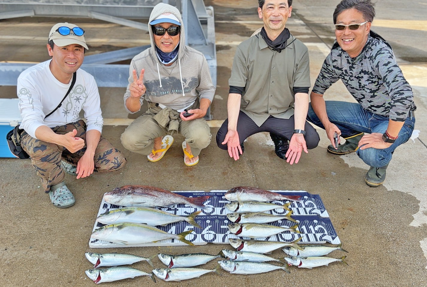 ✿マダイ・イナダ・アジ・サバ✿