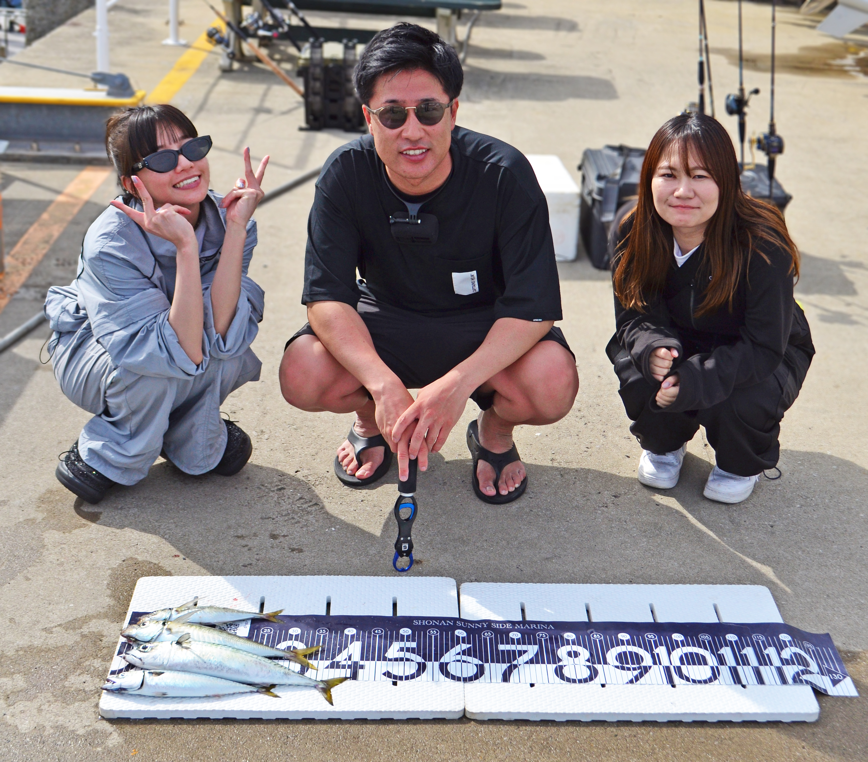 ✿アジ・サバ✿