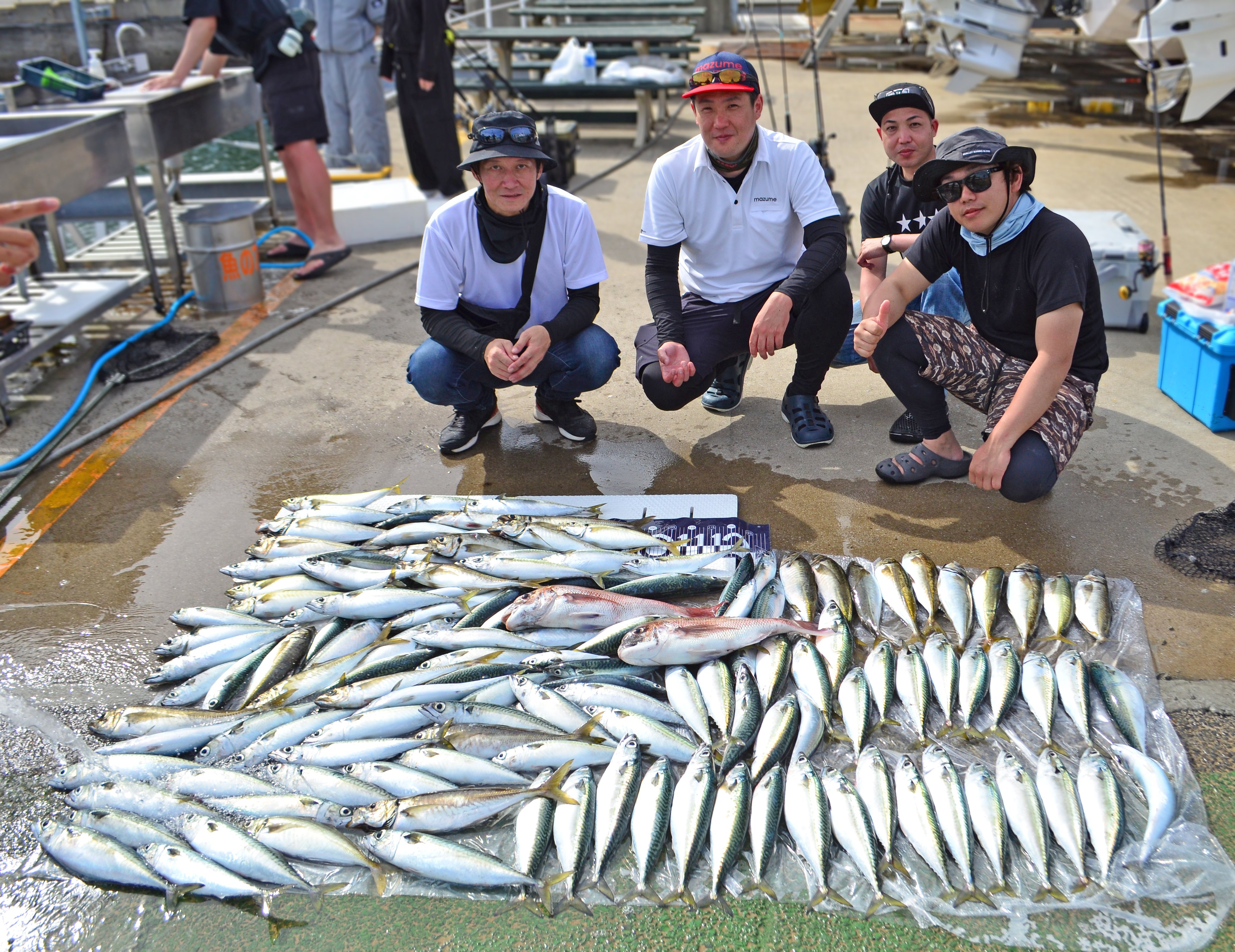 ✿アジ・サバ・マダイ✿