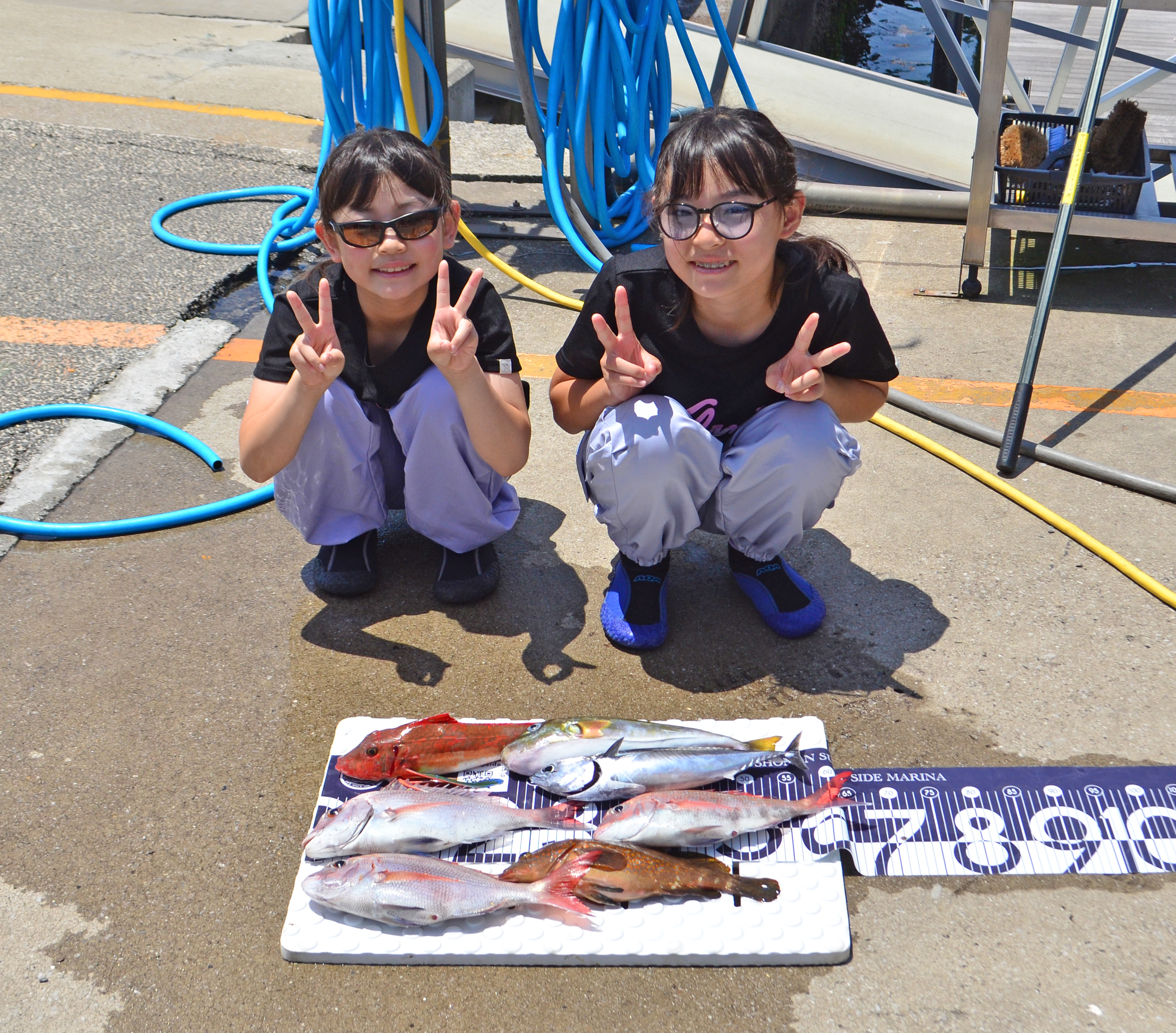 ✿マダイ・ホウボウ・キジハタ・ソウダガツオ・シロサバフグ✿