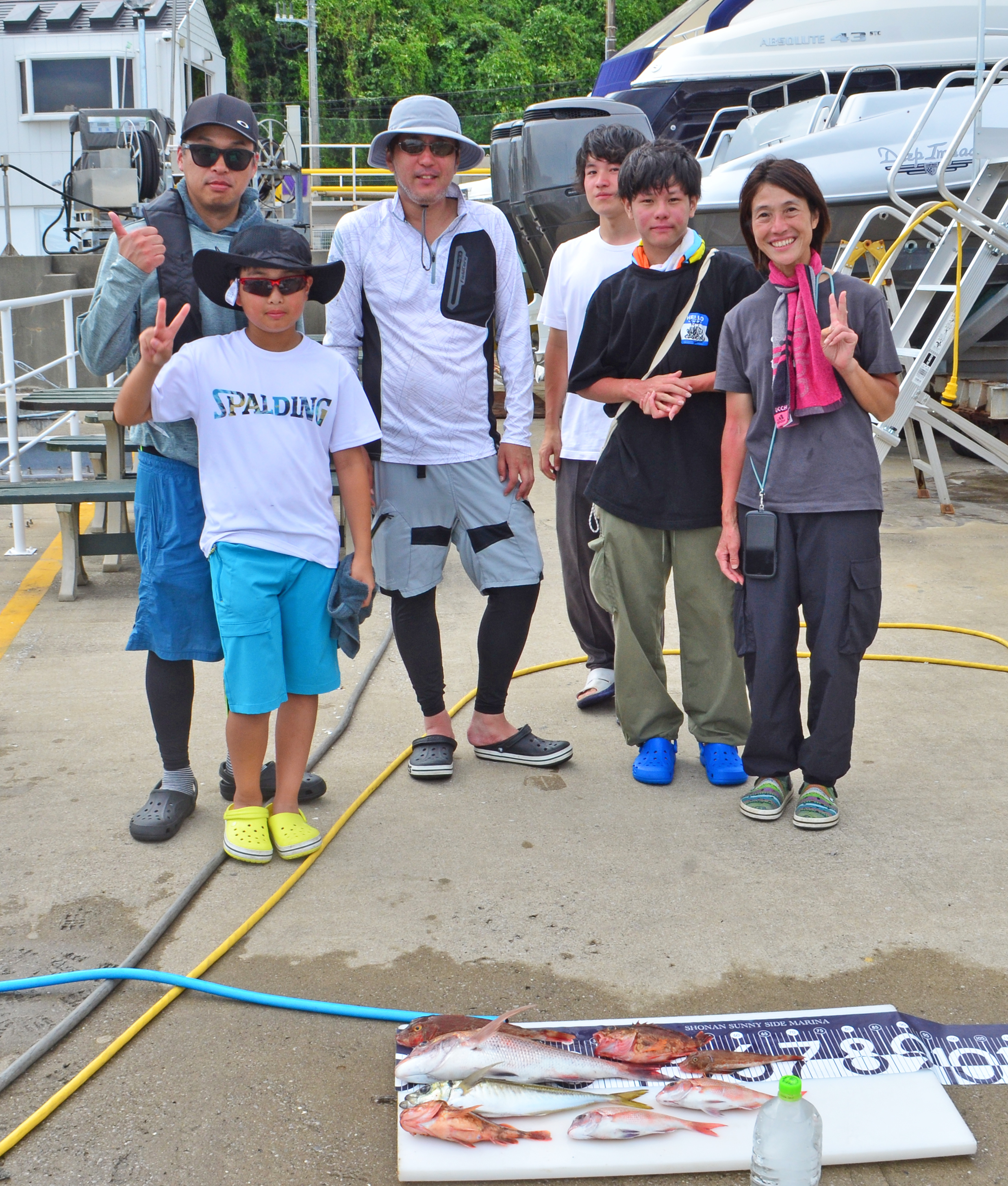 ✿マダイ・アジ・カサゴ・ホウボウ✿