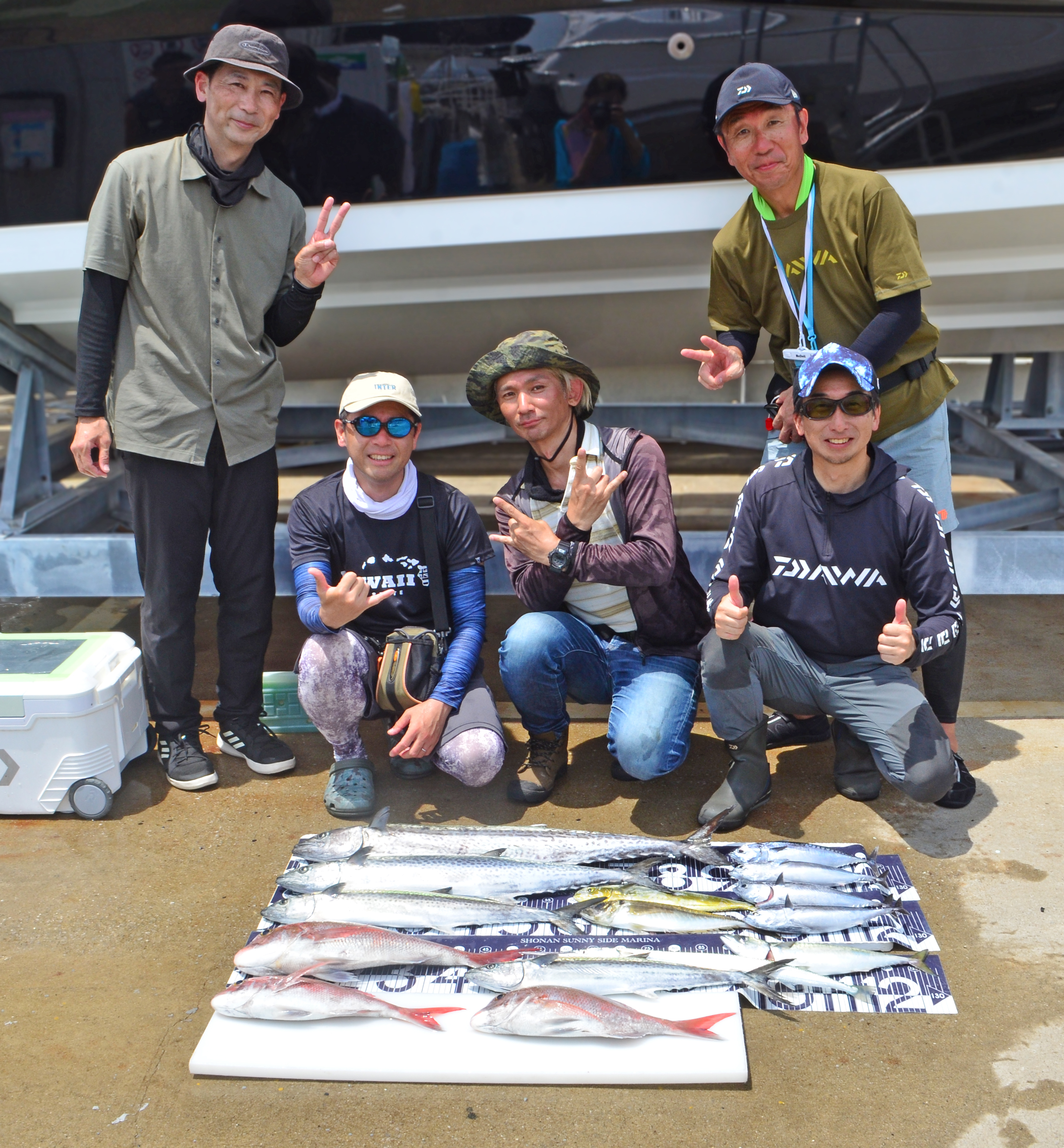 ✿サワラ・マダイ・ソウダガツオ・シイラ・アジ・サバ・ダツ✿