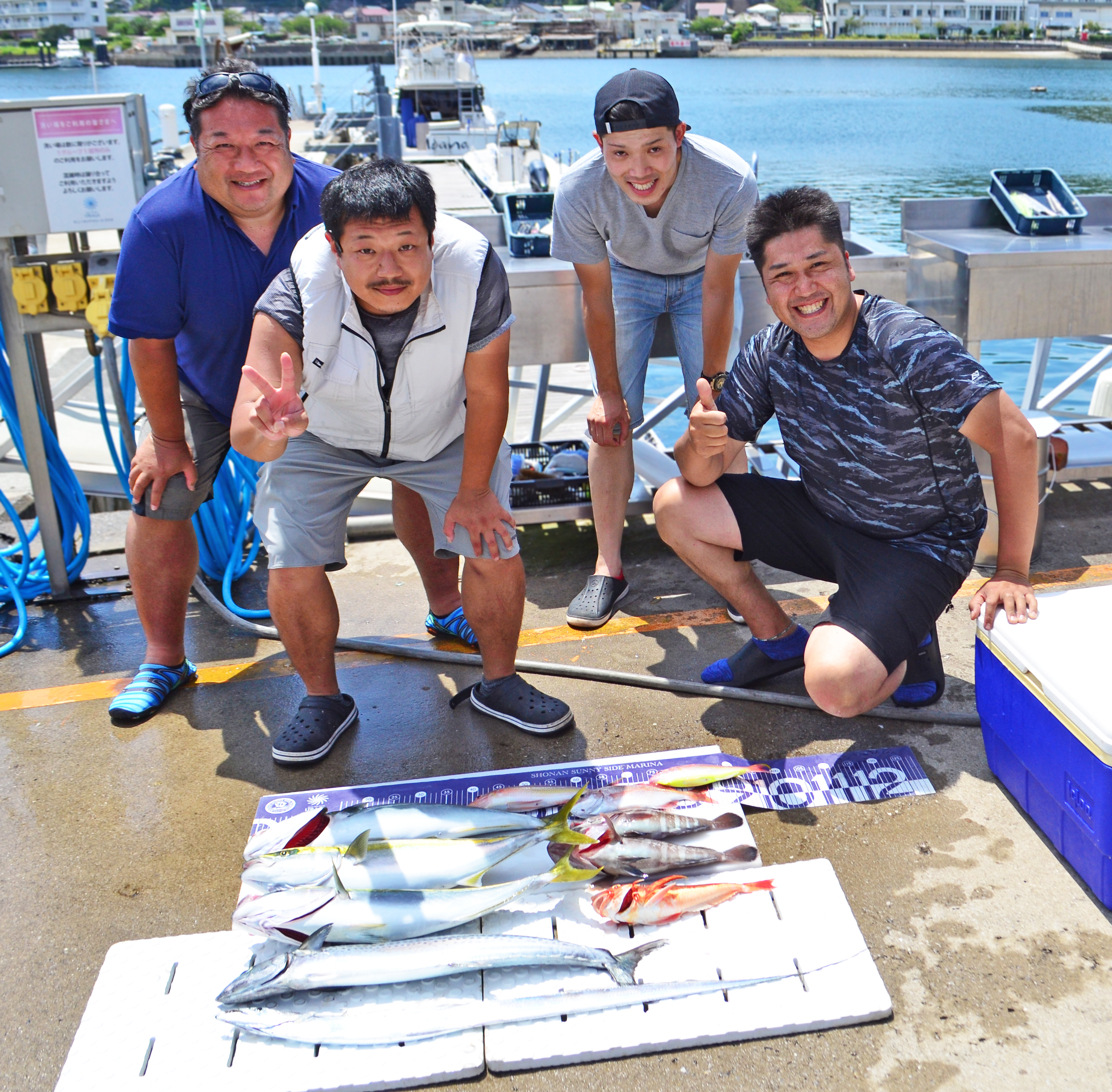 ✿ワラサ・サワラ・タチウオ・イトヨリダイ・ソコイトヨリ・チダイ・マハタ・ホウボウ✿