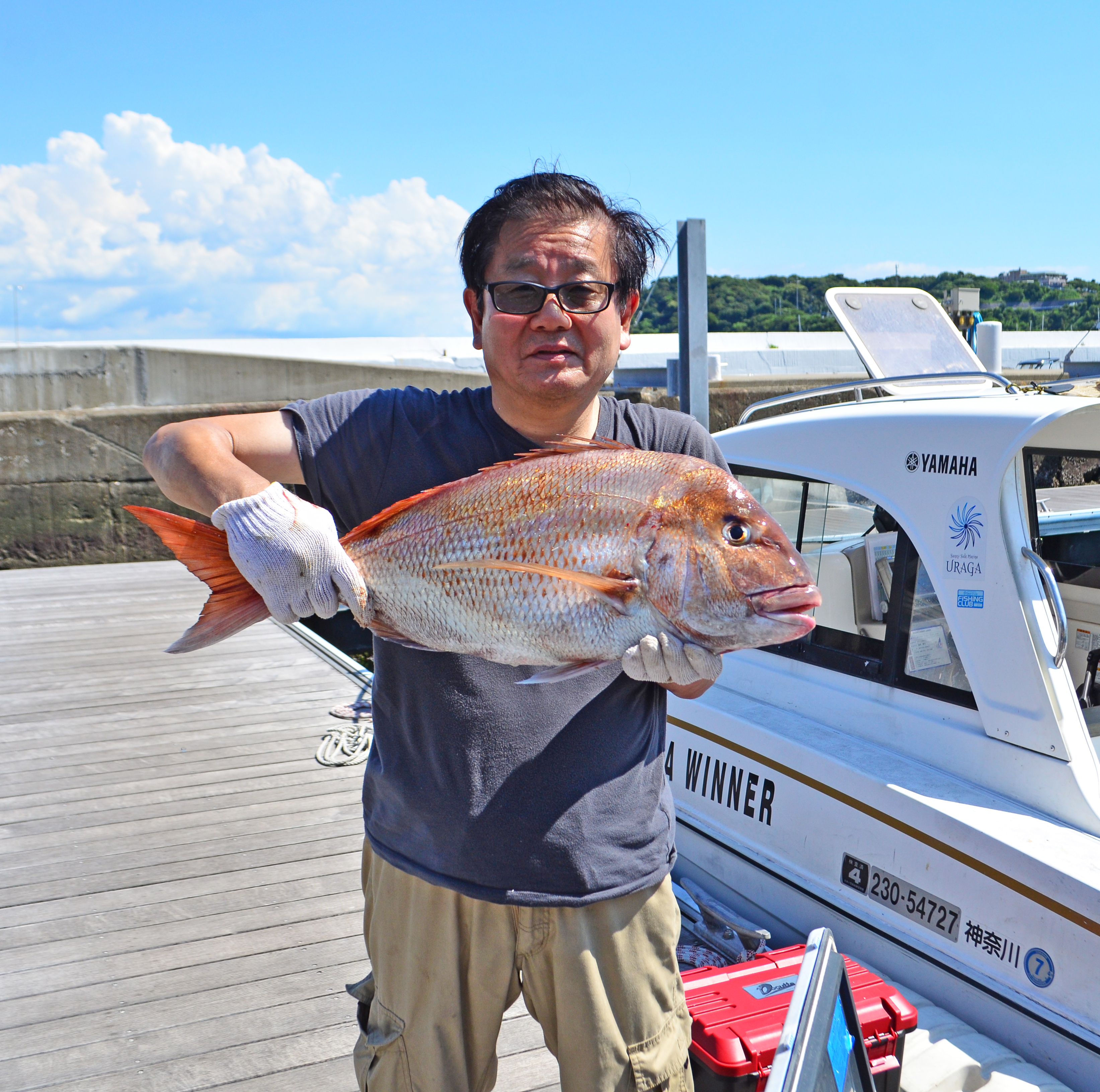 ✿マダイ・ワラサ・アジ✿