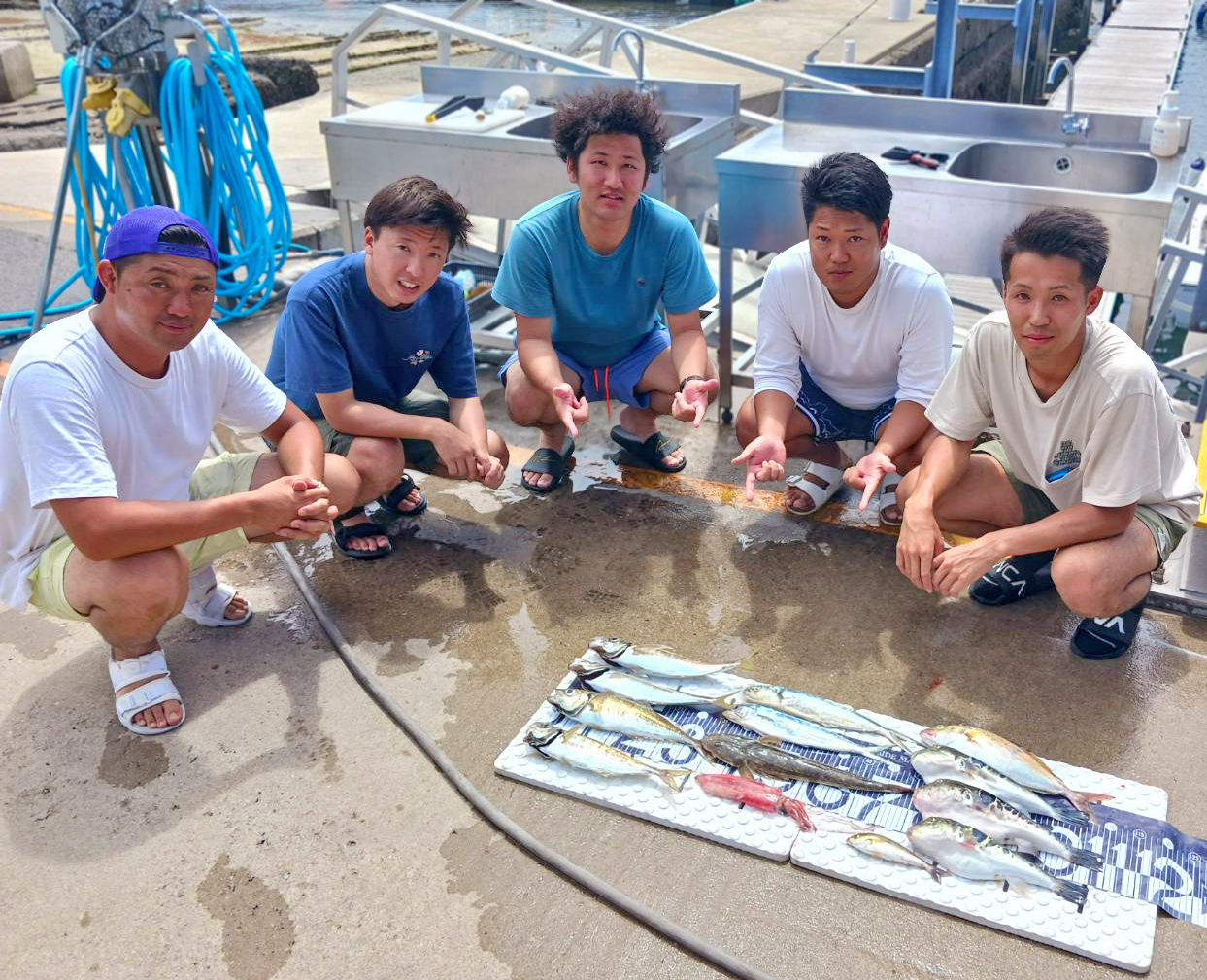 ✿アジ・シイラ・マゴチ・マルイカ・ショゴ・トラフグ・イサキ✿