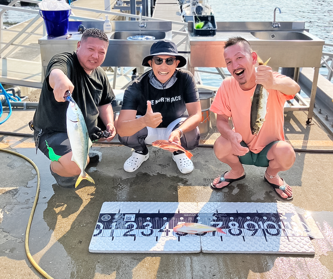 ✿イナダ・アジ・ホウボウ・イトヨリダイ✿