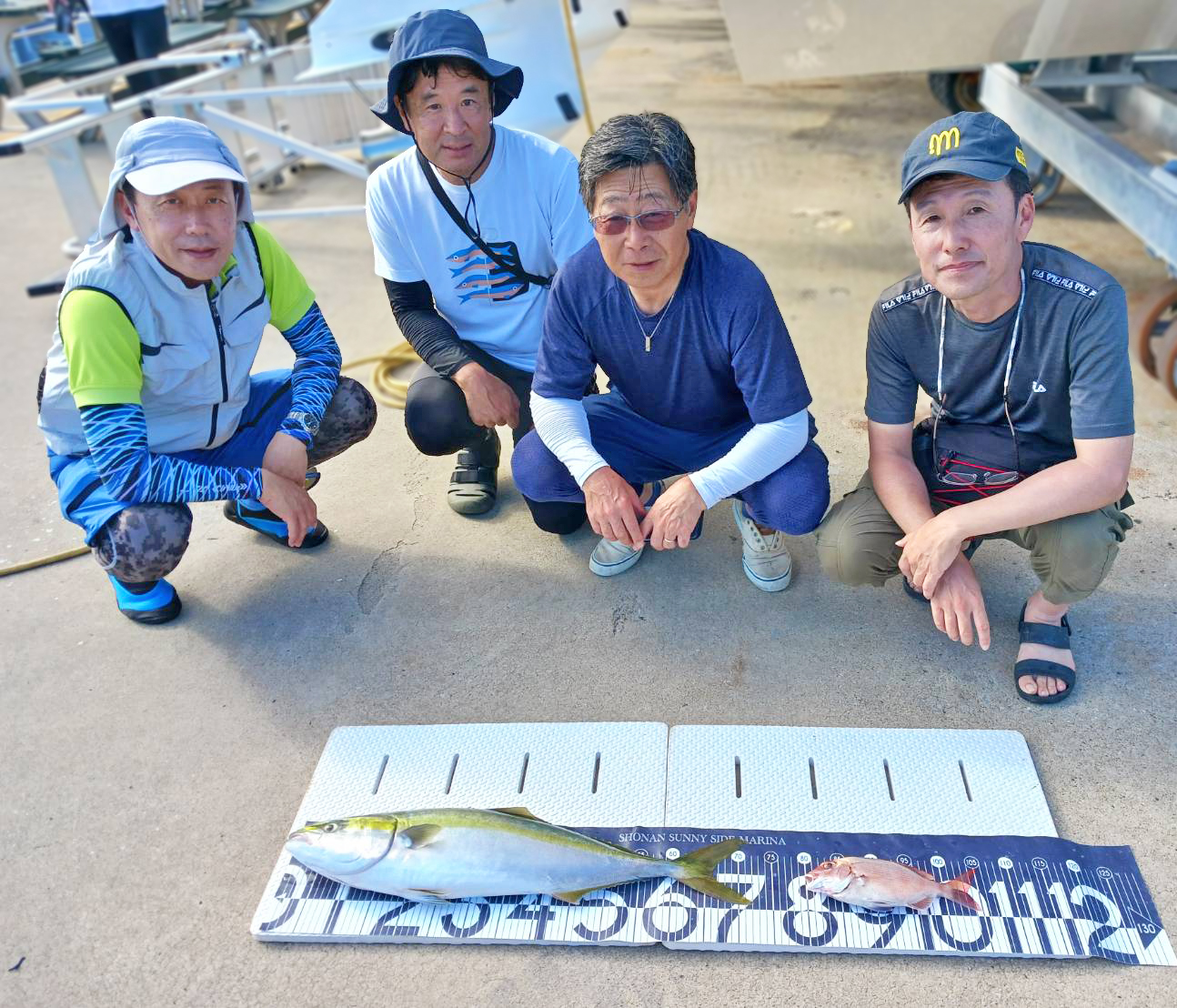 ✿ワラサ・マダイ✿