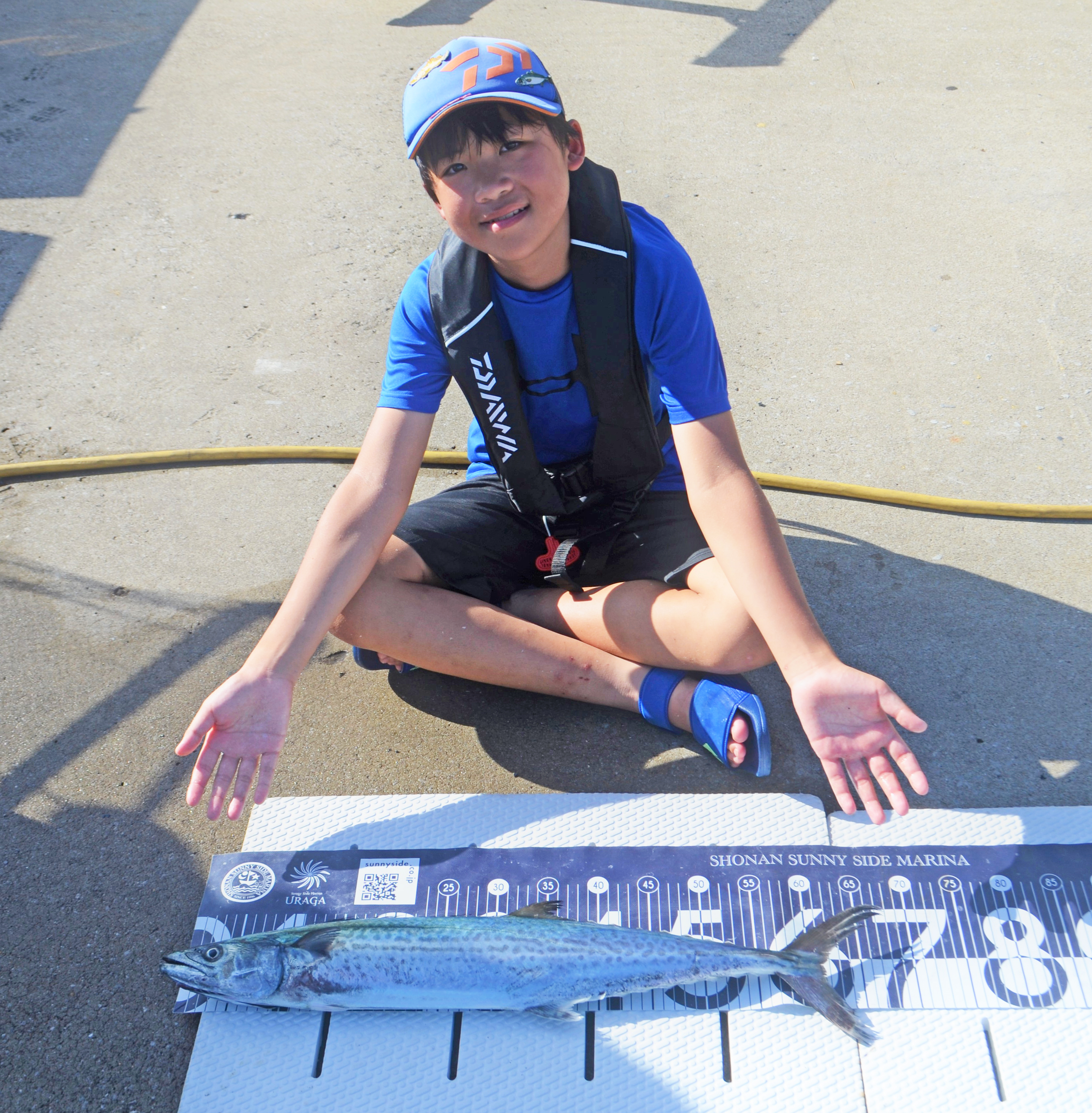 ✿カンパチ・マダイ・サワラ・シイラ✿