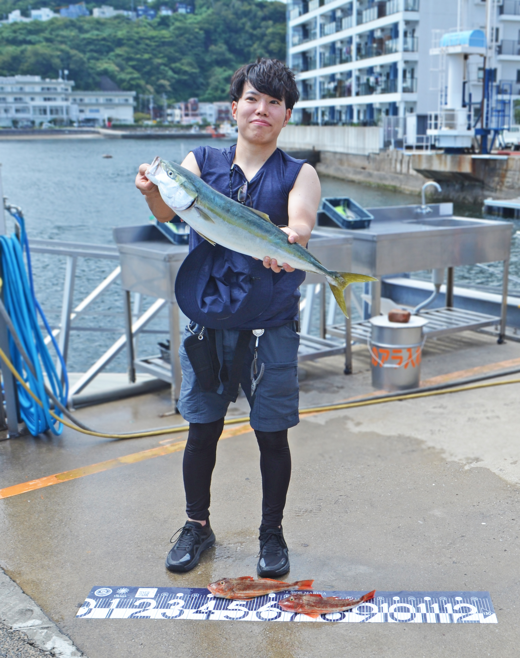 ✿ワラサ・ホウボウ✿