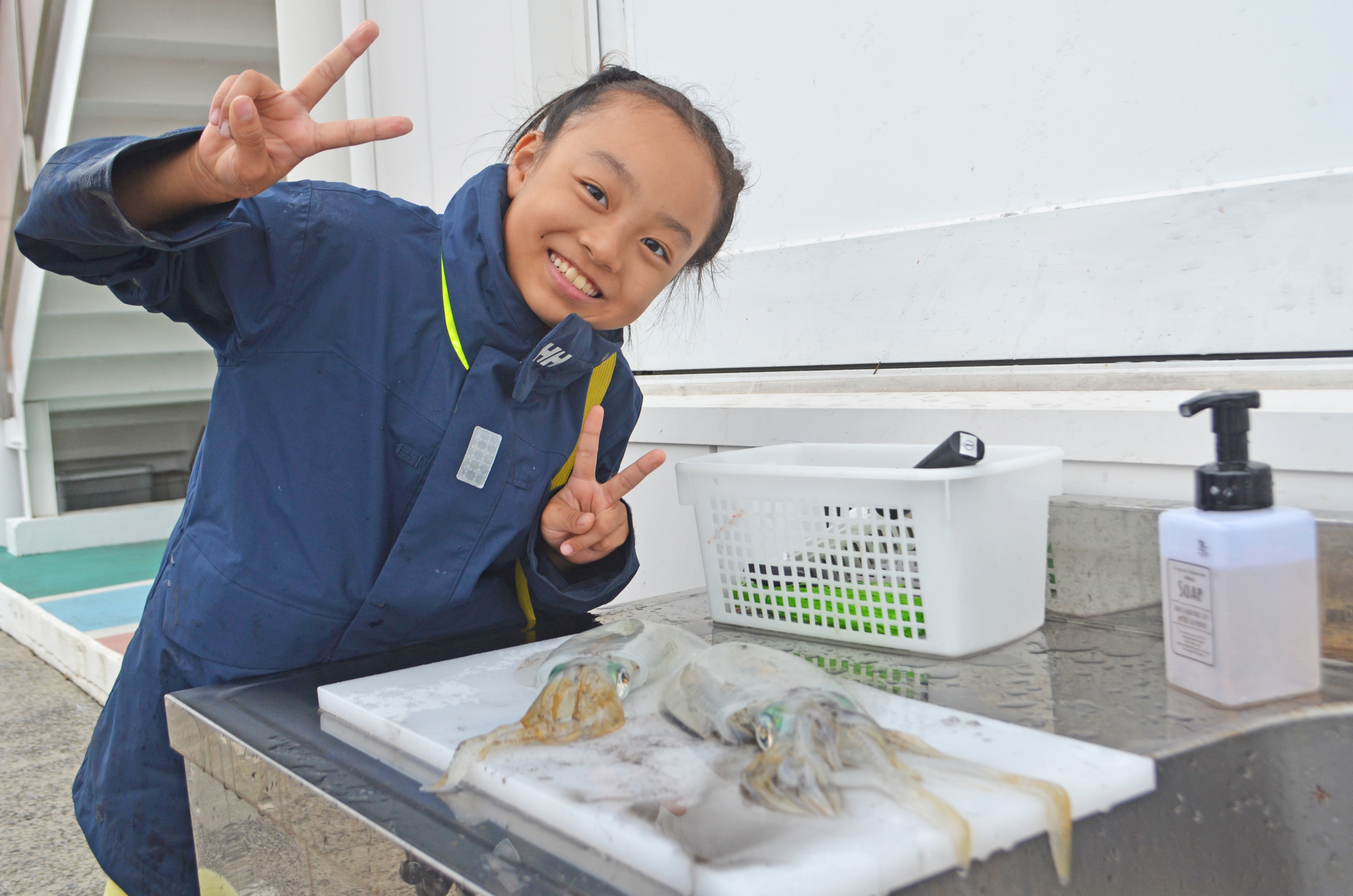 ✿アオリイカ✿