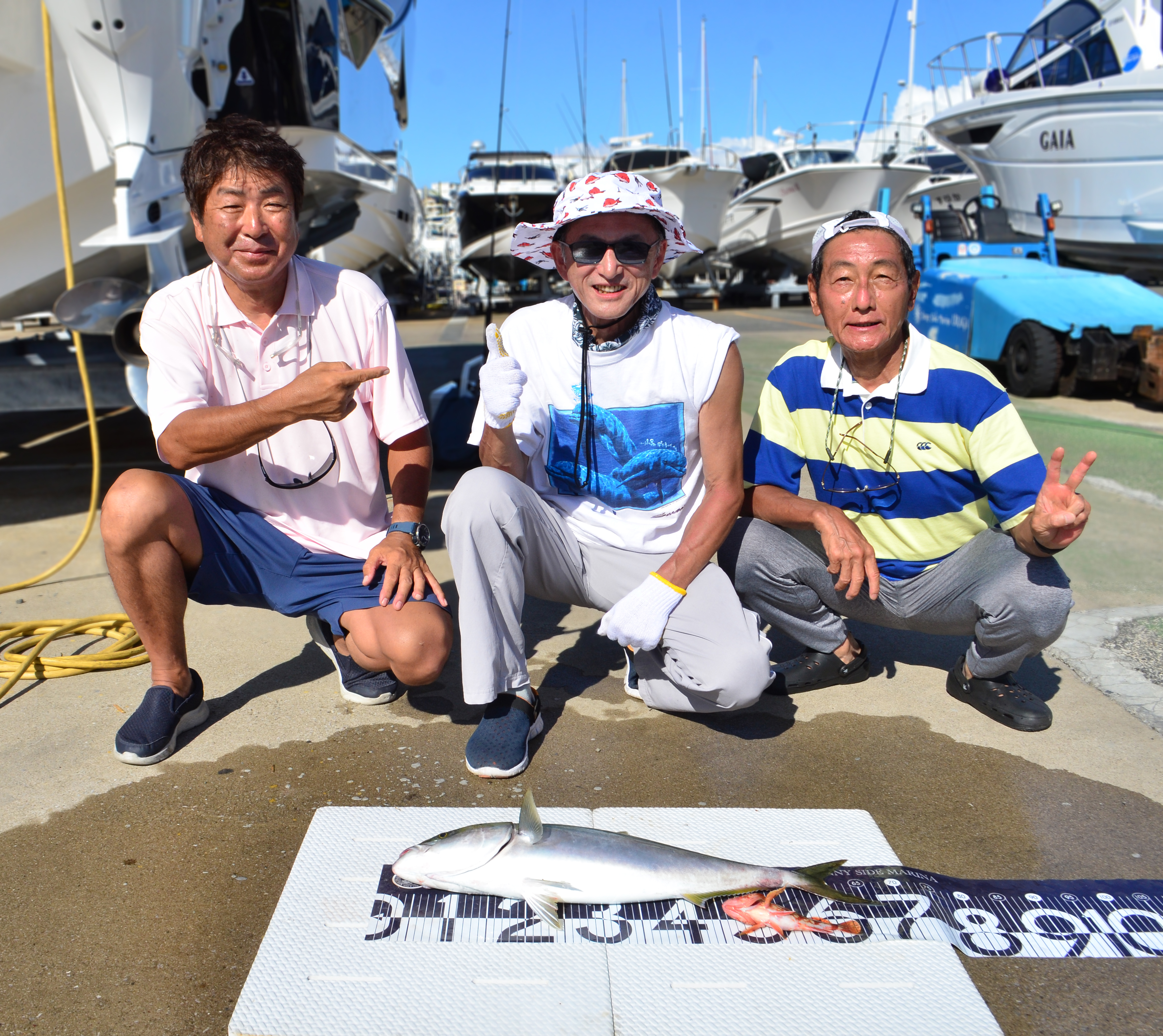 ✿ワラサ・カサゴ✿