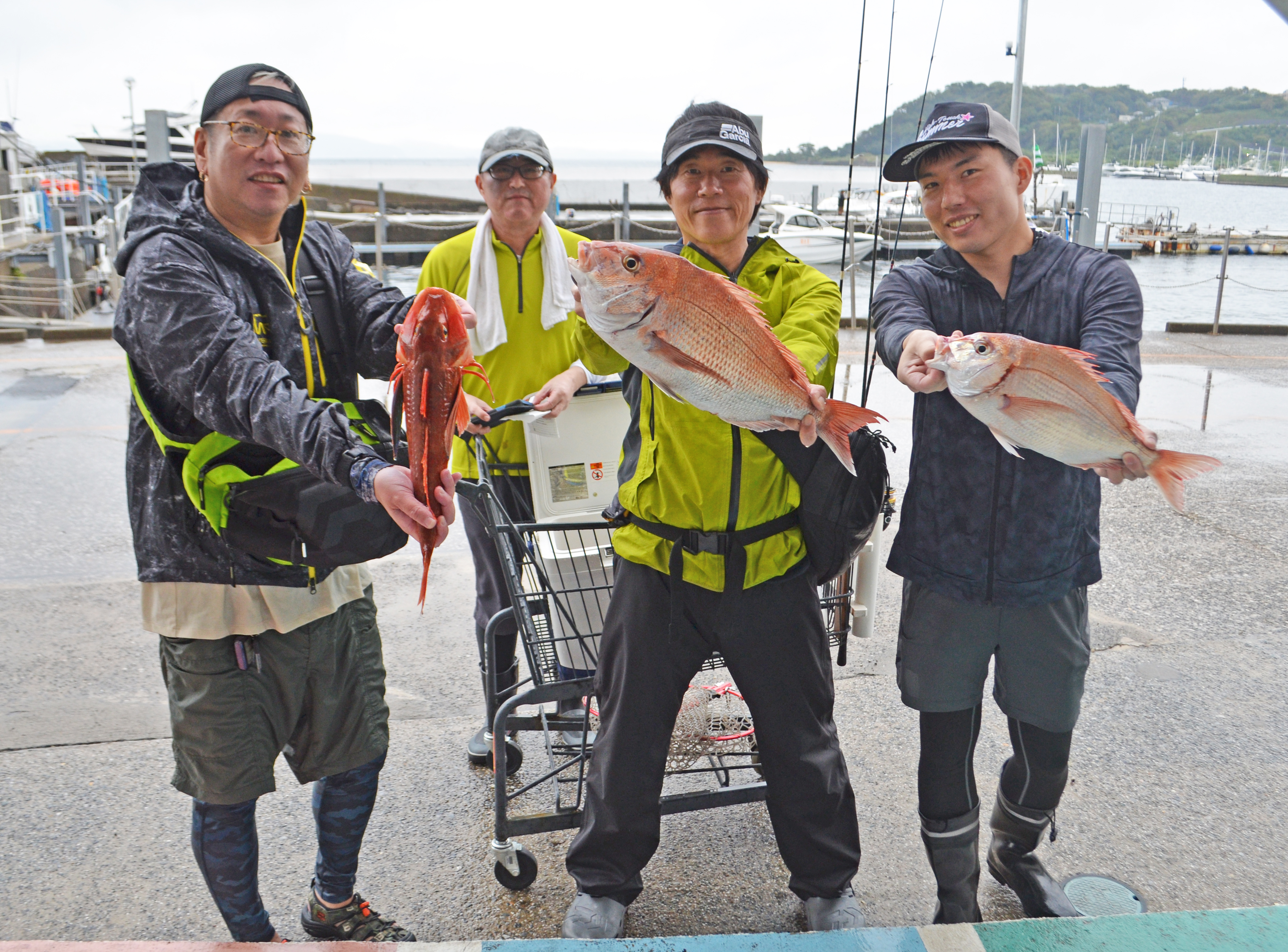 ✿マダイ・チダイ・ホウボウ✿