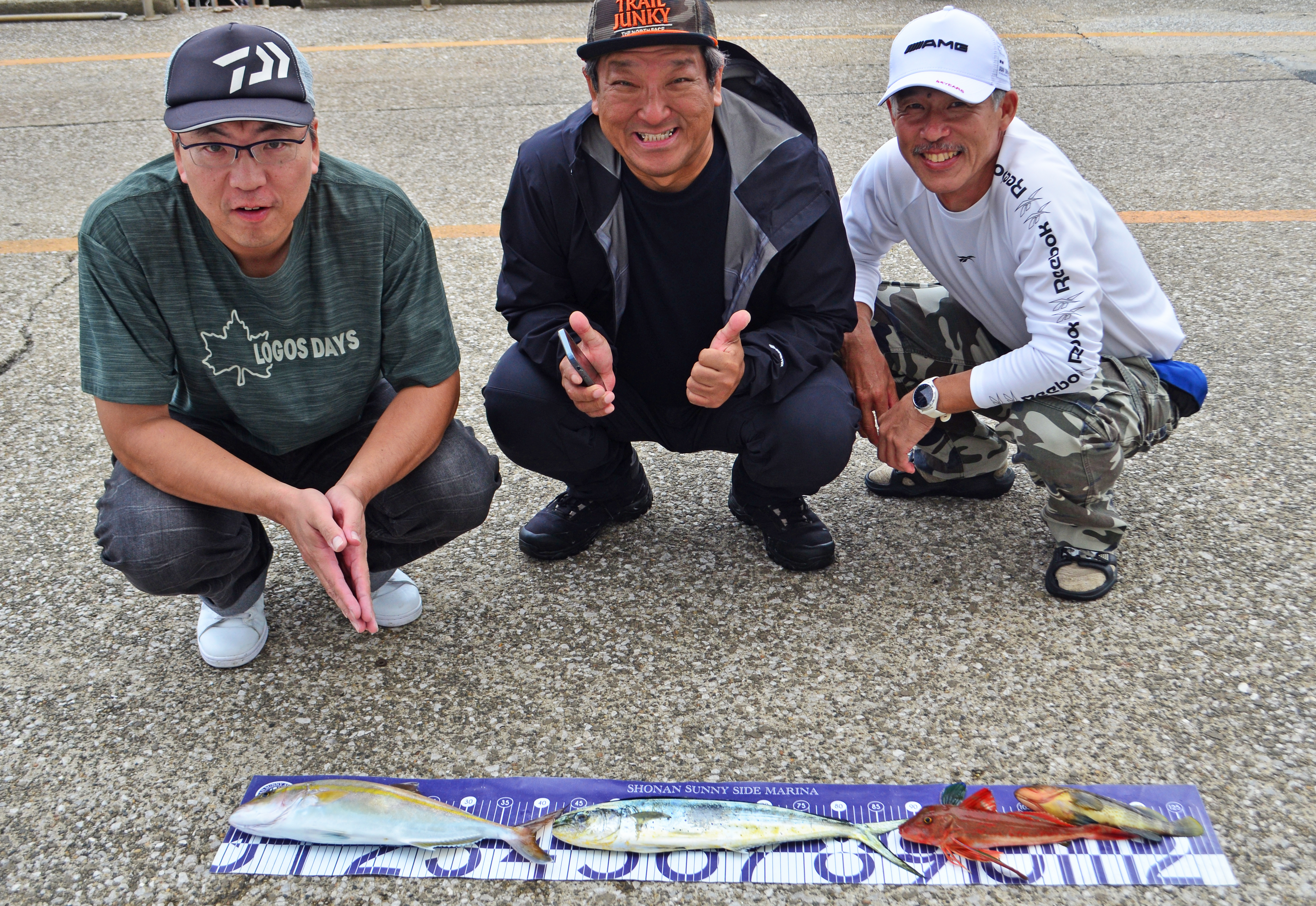 ✿カンパチ・シイラ・ホウボウ・アオハタ✿