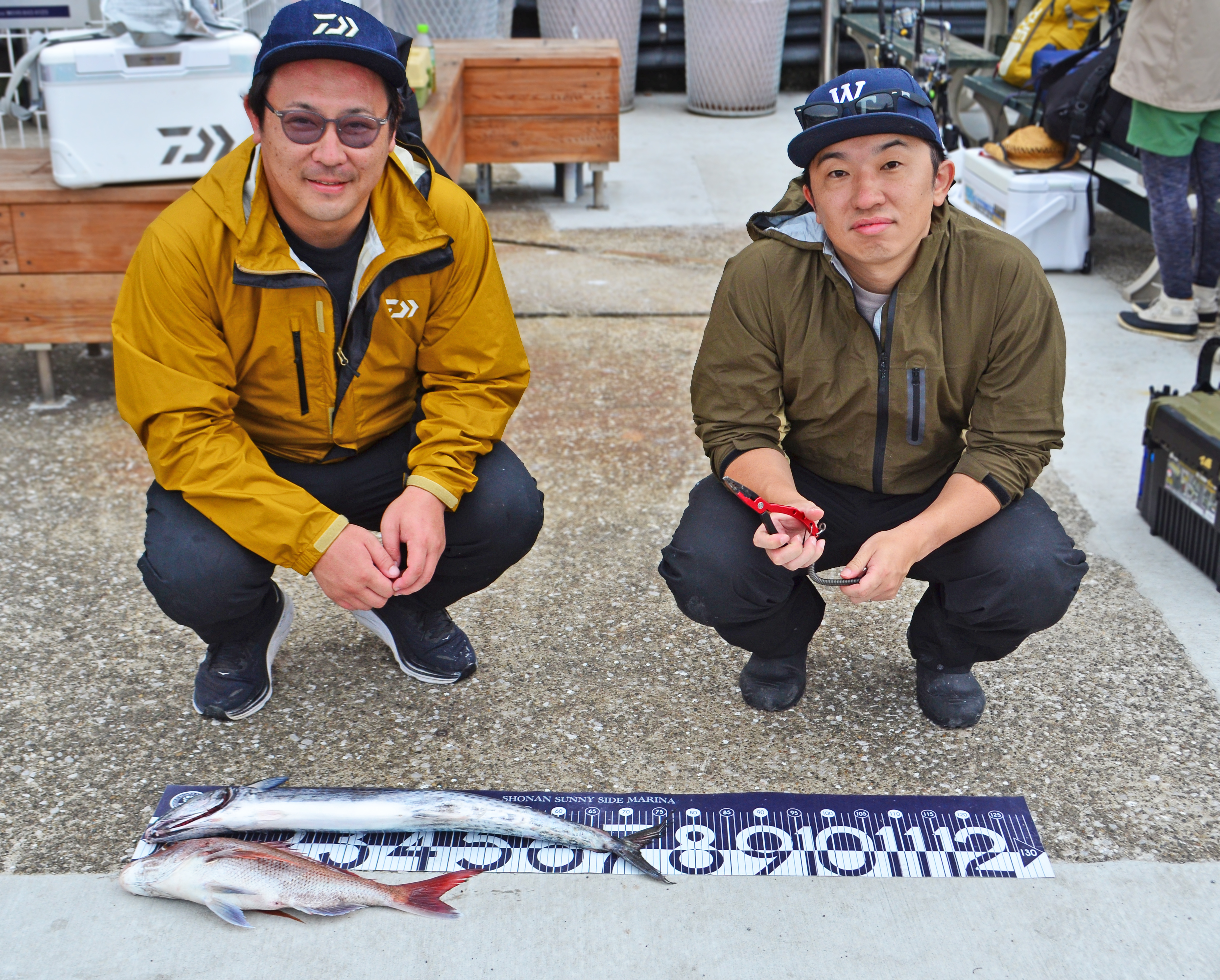 ✿サワラ・マダイ✿