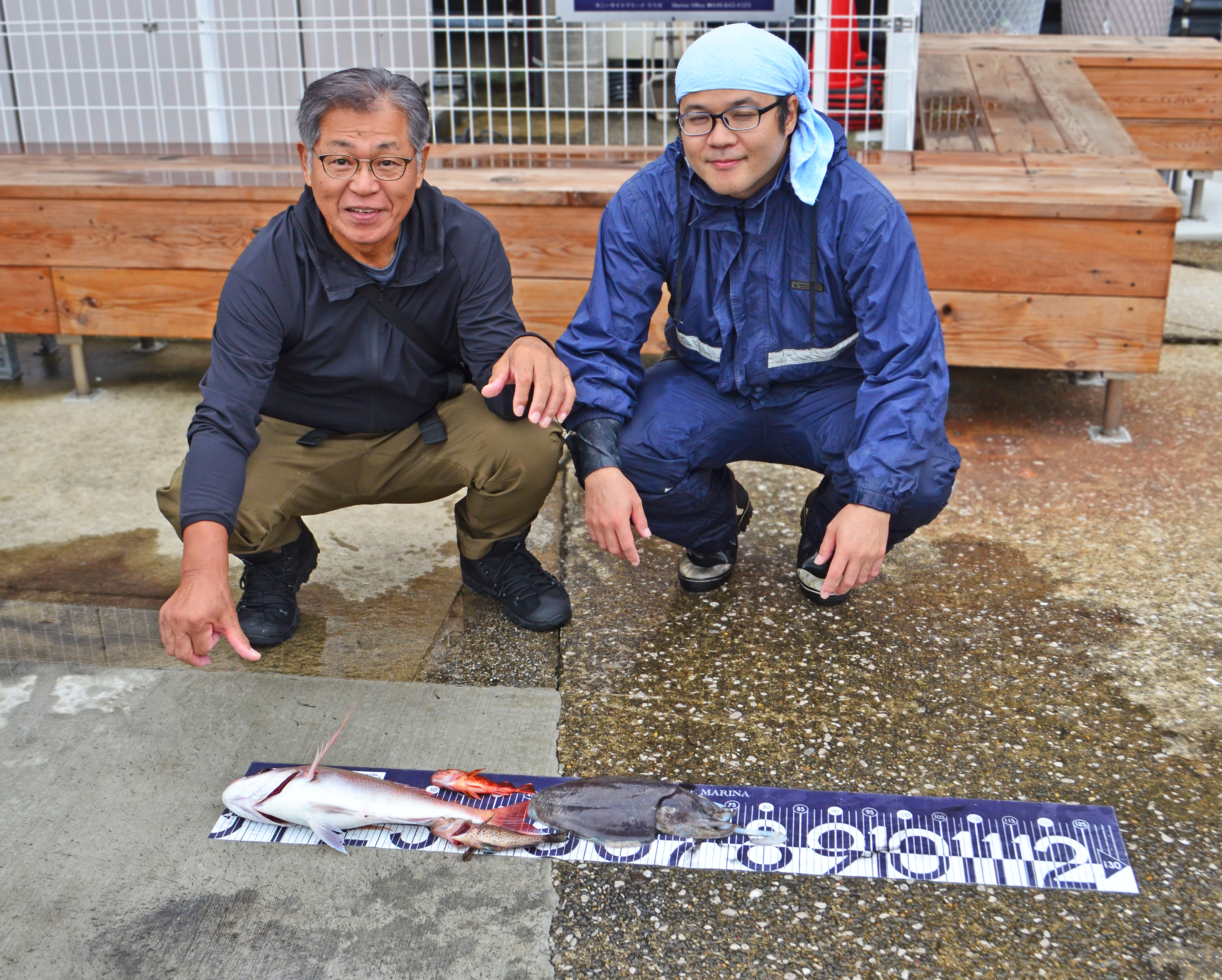 ✿マダイ・モンゴウイカ・カサゴ・オオモンハタ✿
