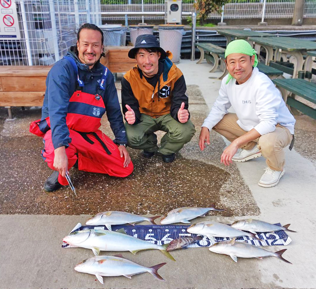 ✿ショゴ・ワラサ✿