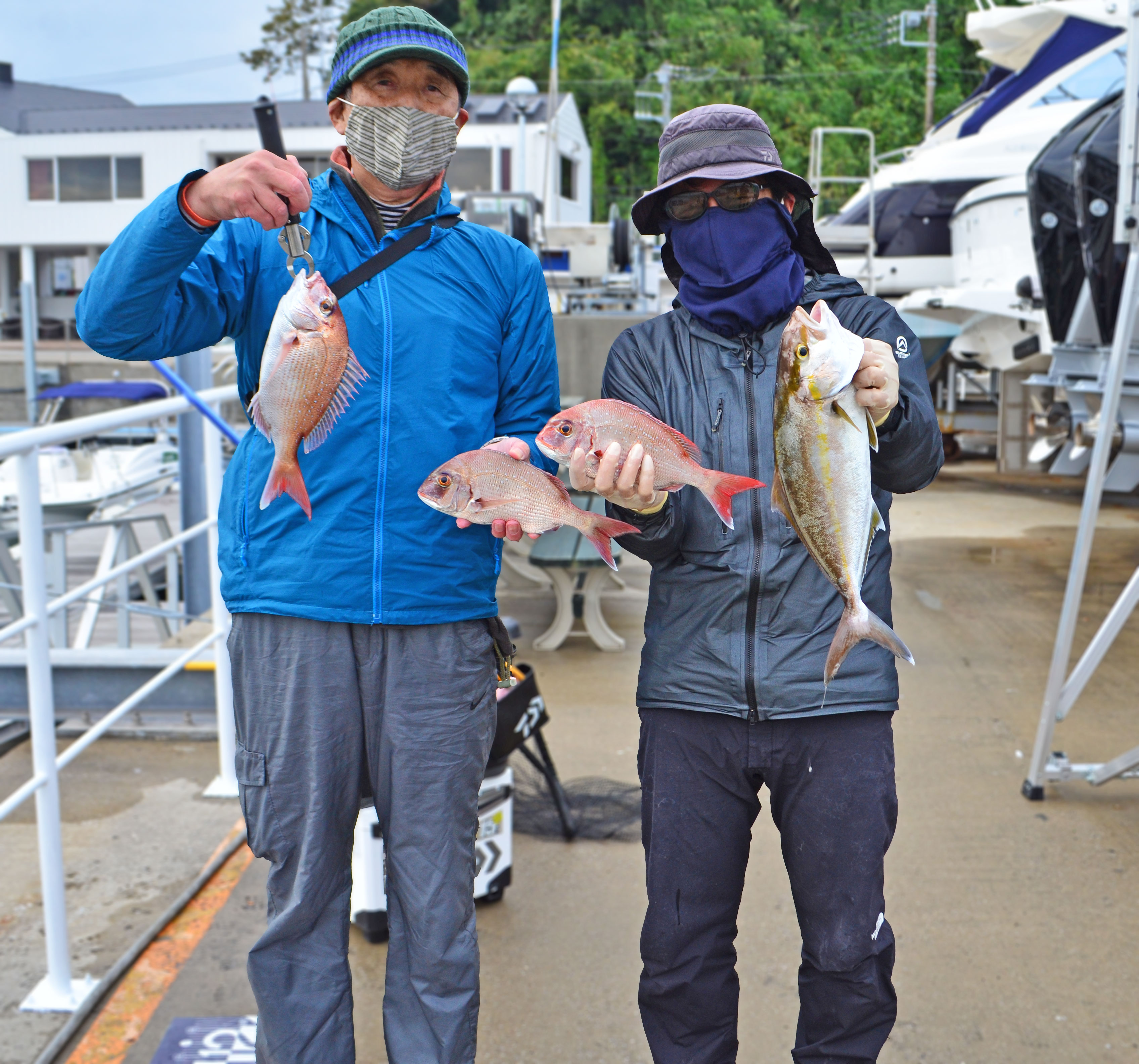 ✿マダイ・ショゴ・ウッカリカサゴ✿