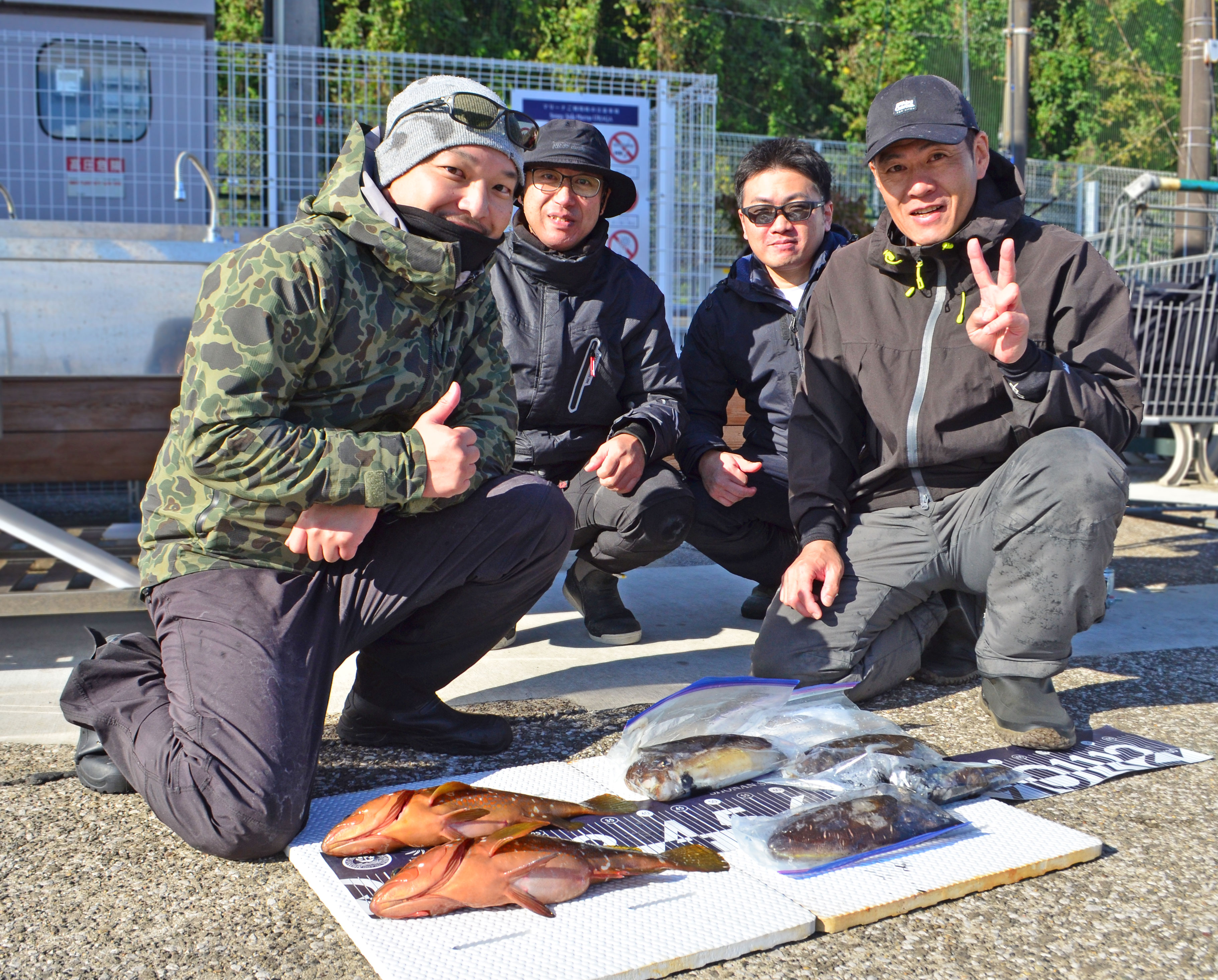✿キジハタ・モンゴウイカ✿