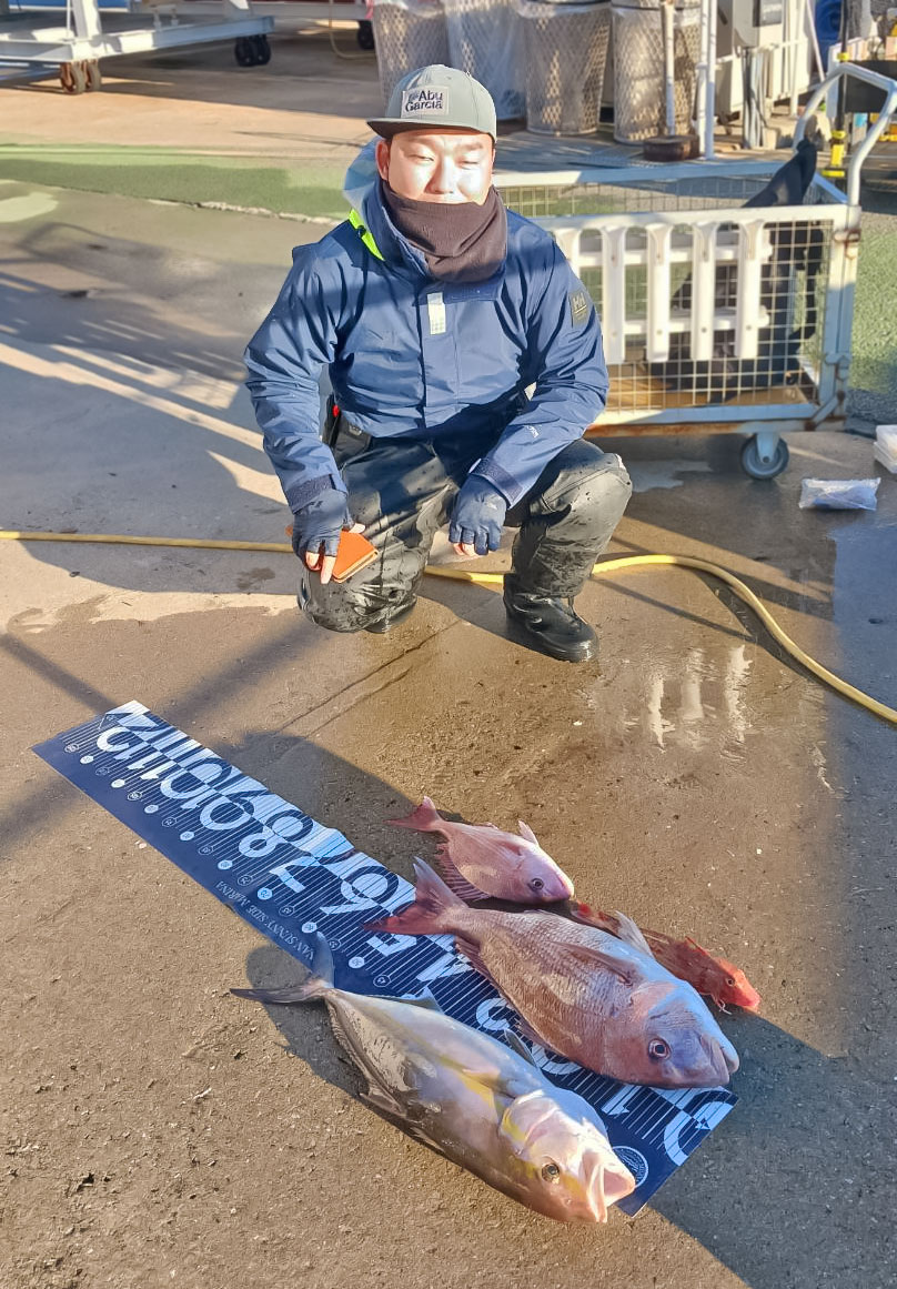 ✿ショゴ(カンパチ)・マダイ・ホウボウ✿