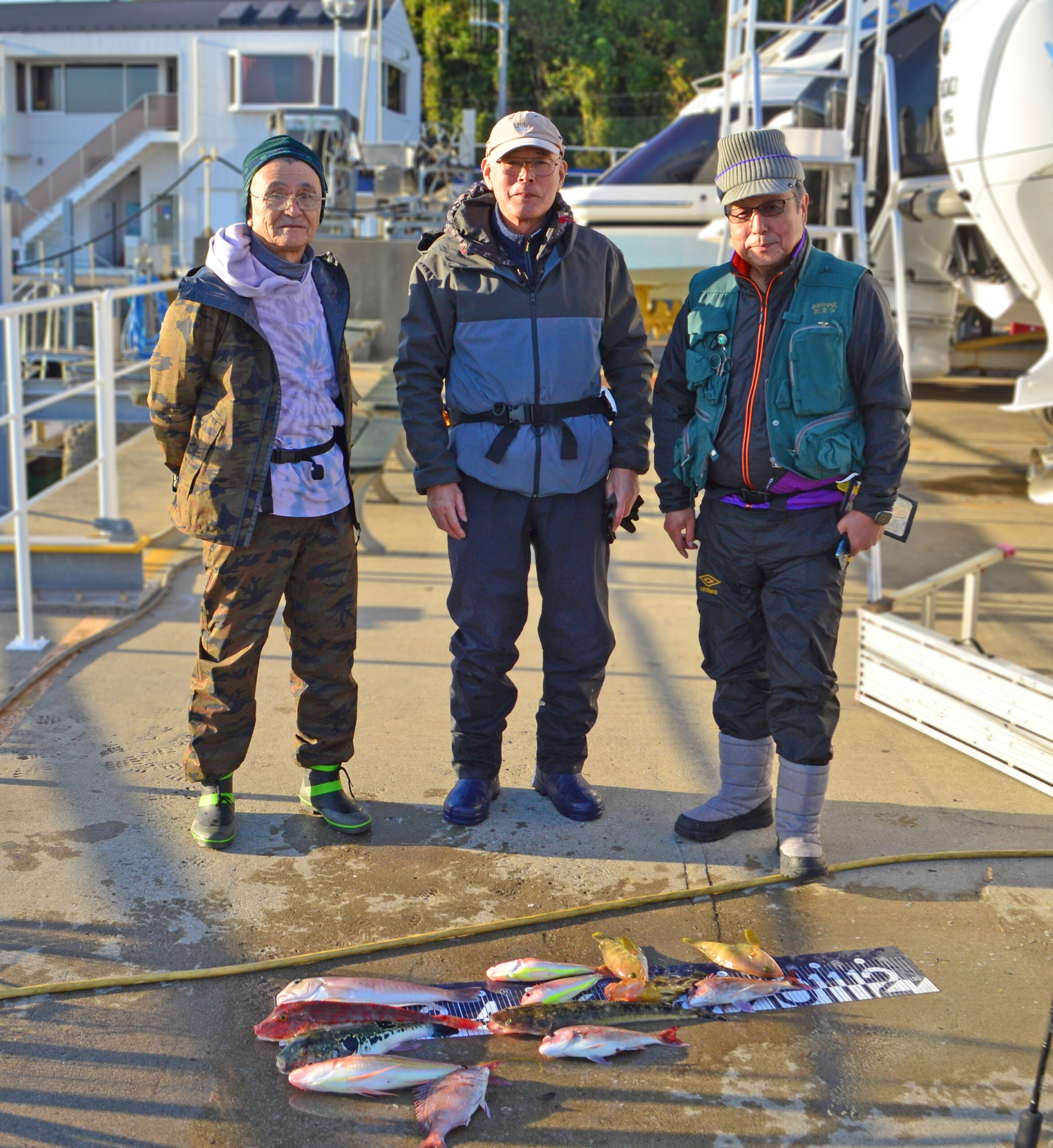 ✿シロアマダイ・ホウボウ・トラフグ・イトヨリダイ・ソコイトヨリ・マダイ・アオハタ・マゴチ✿