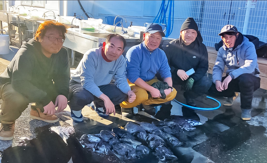 ✿モンゴウイカ✿