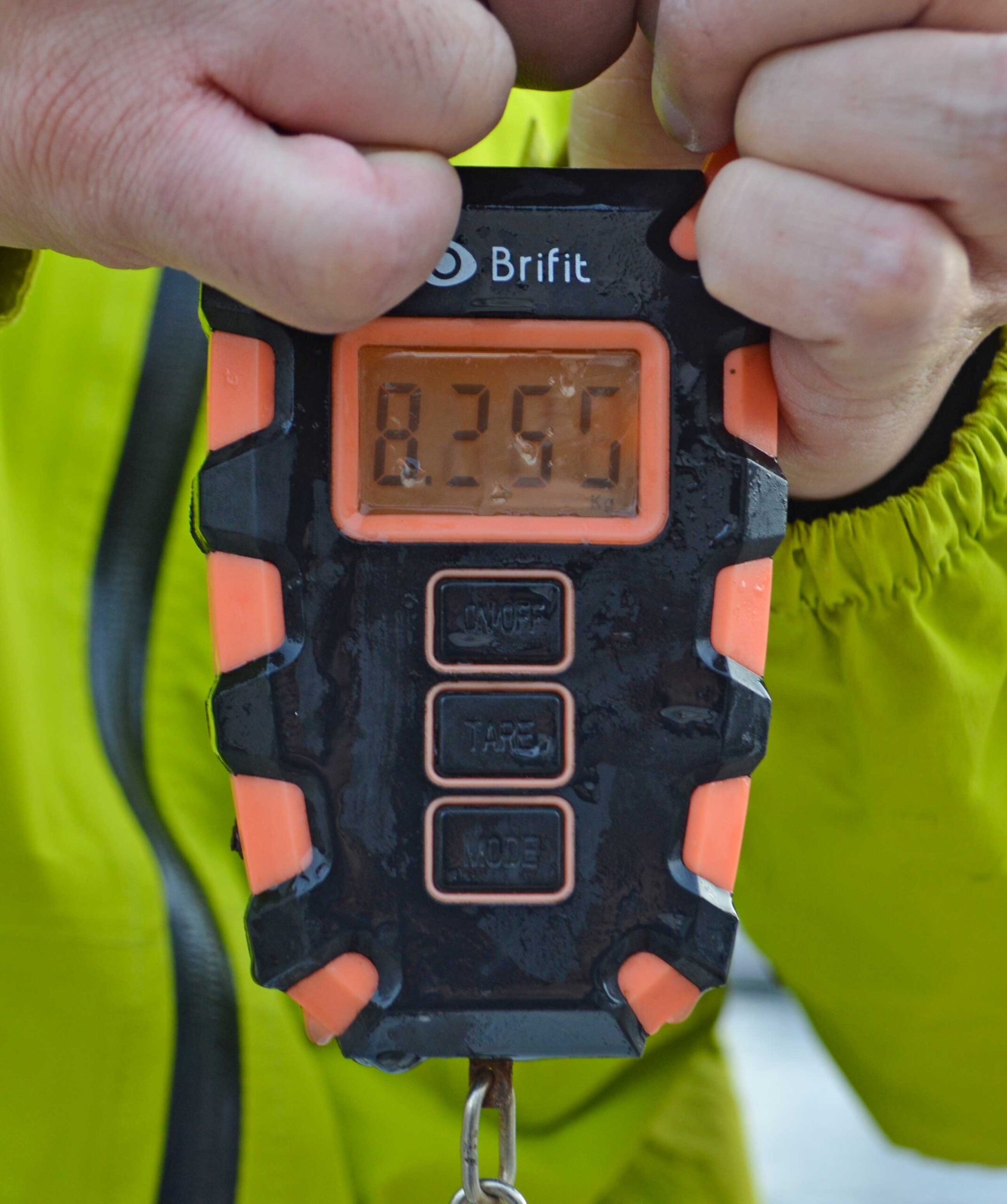 ✿ブリ・マダイ・ホウボウ✿