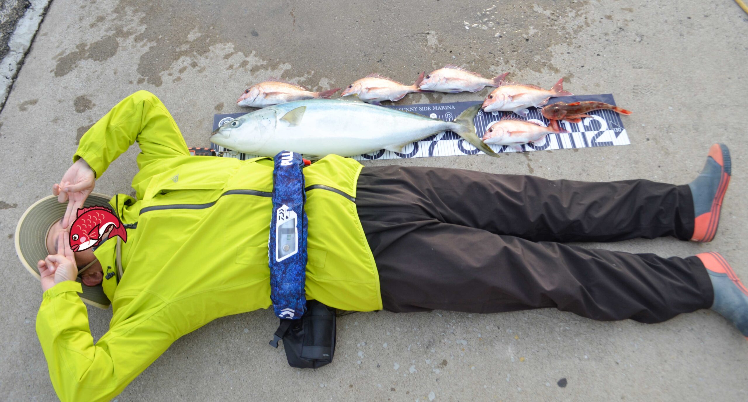 ✿ブリ・マダイ・ホウボウ✿