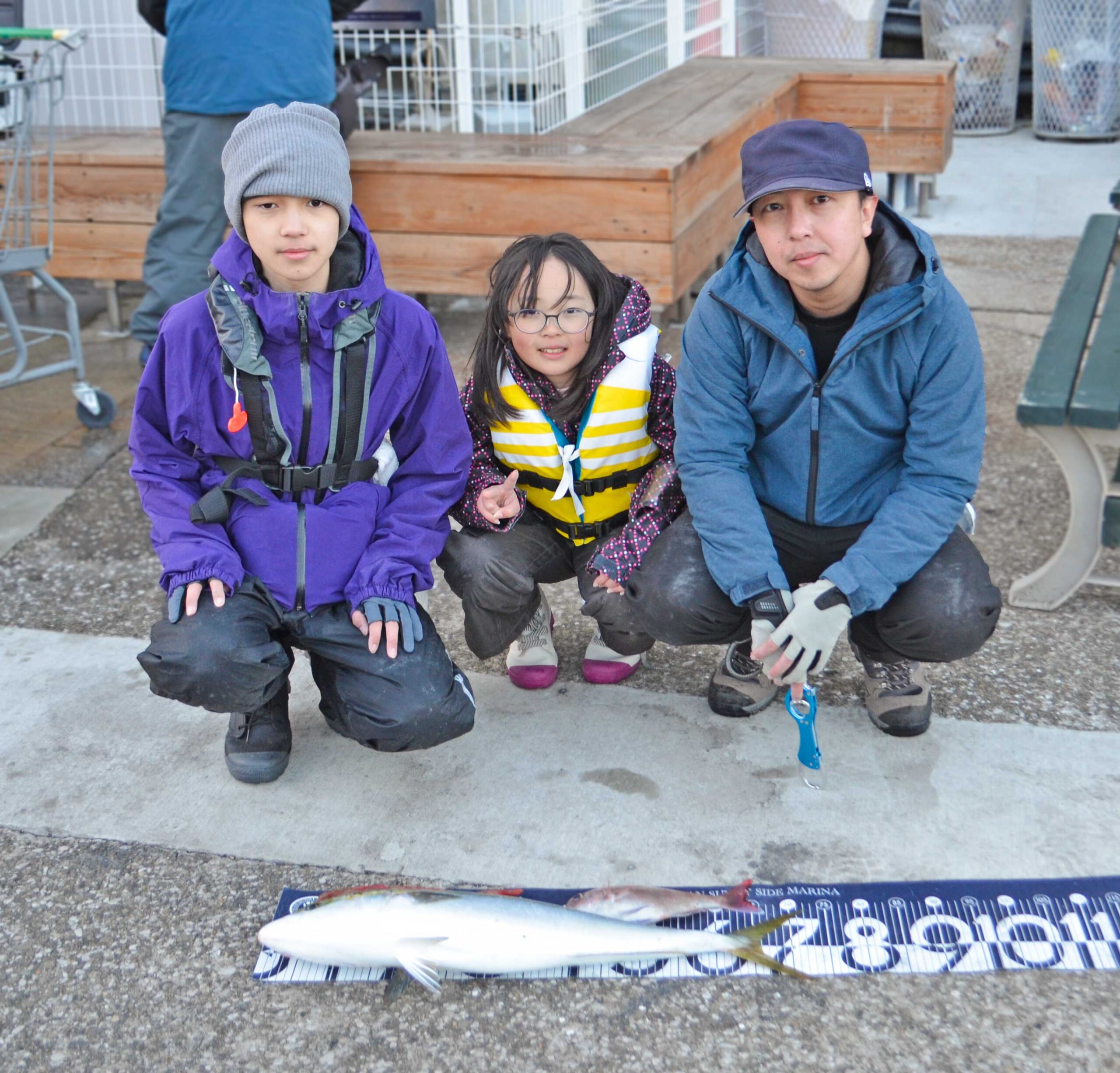 ✿ワラサ・マダイ・ホウボウ✿