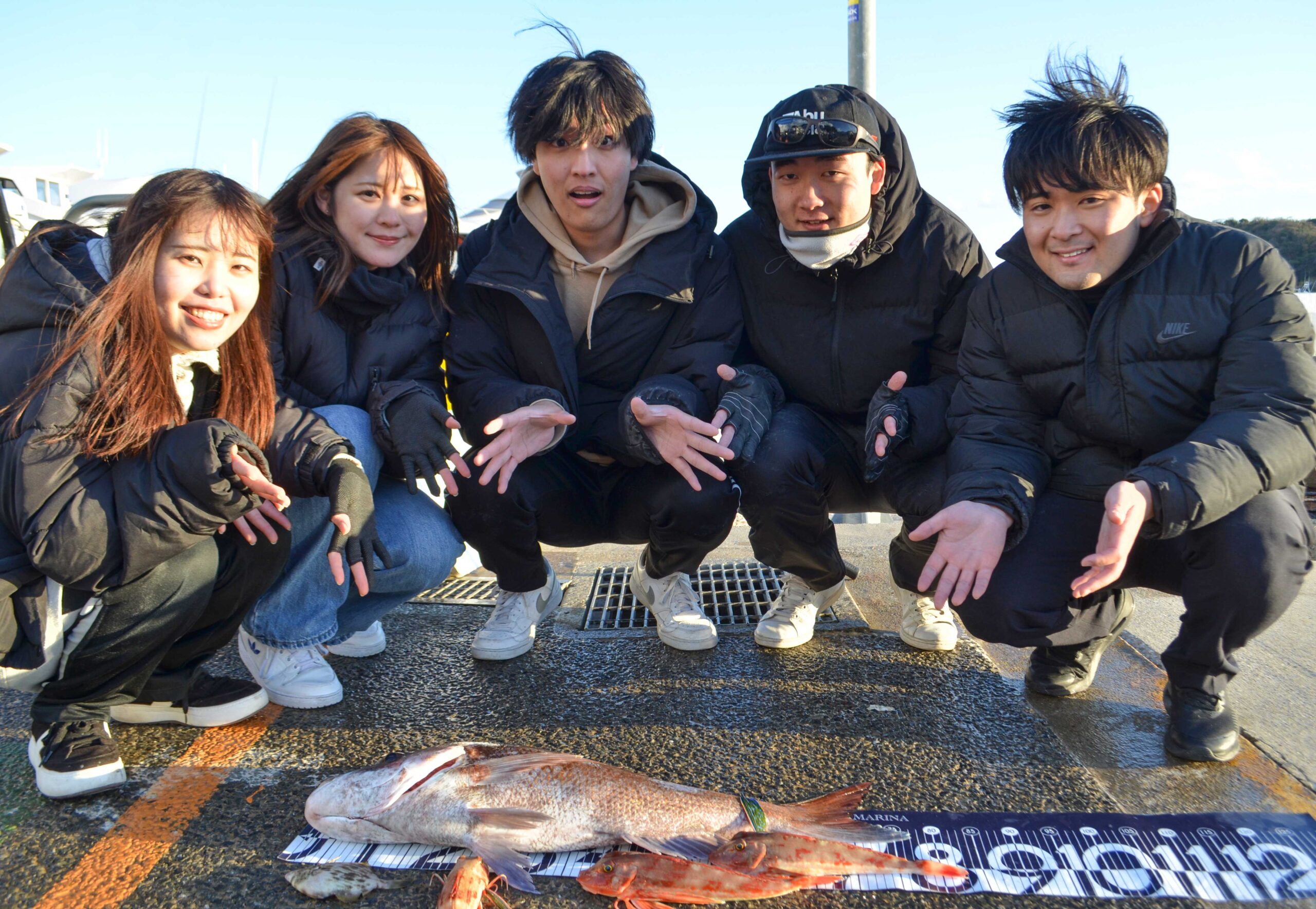 ✿マダイ・ホウボウ✿