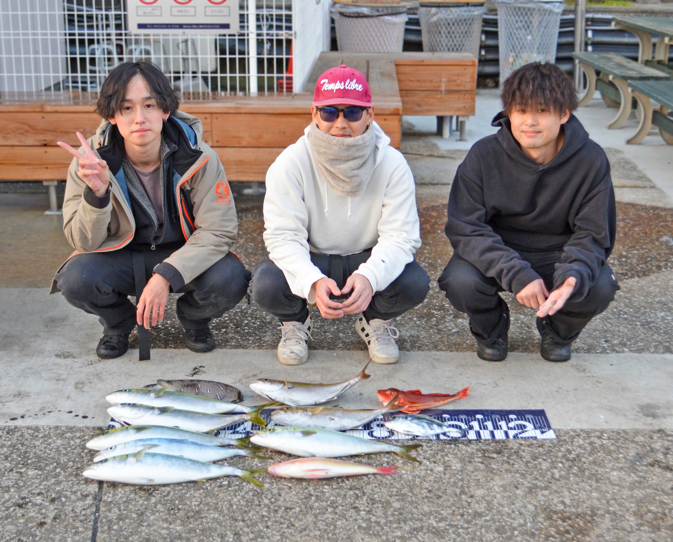 ✿イナダ・ショゴ(カンパチ)・イトヨリダイ・ホウボウ・イトヒキアジ・モンゴウイカ✿