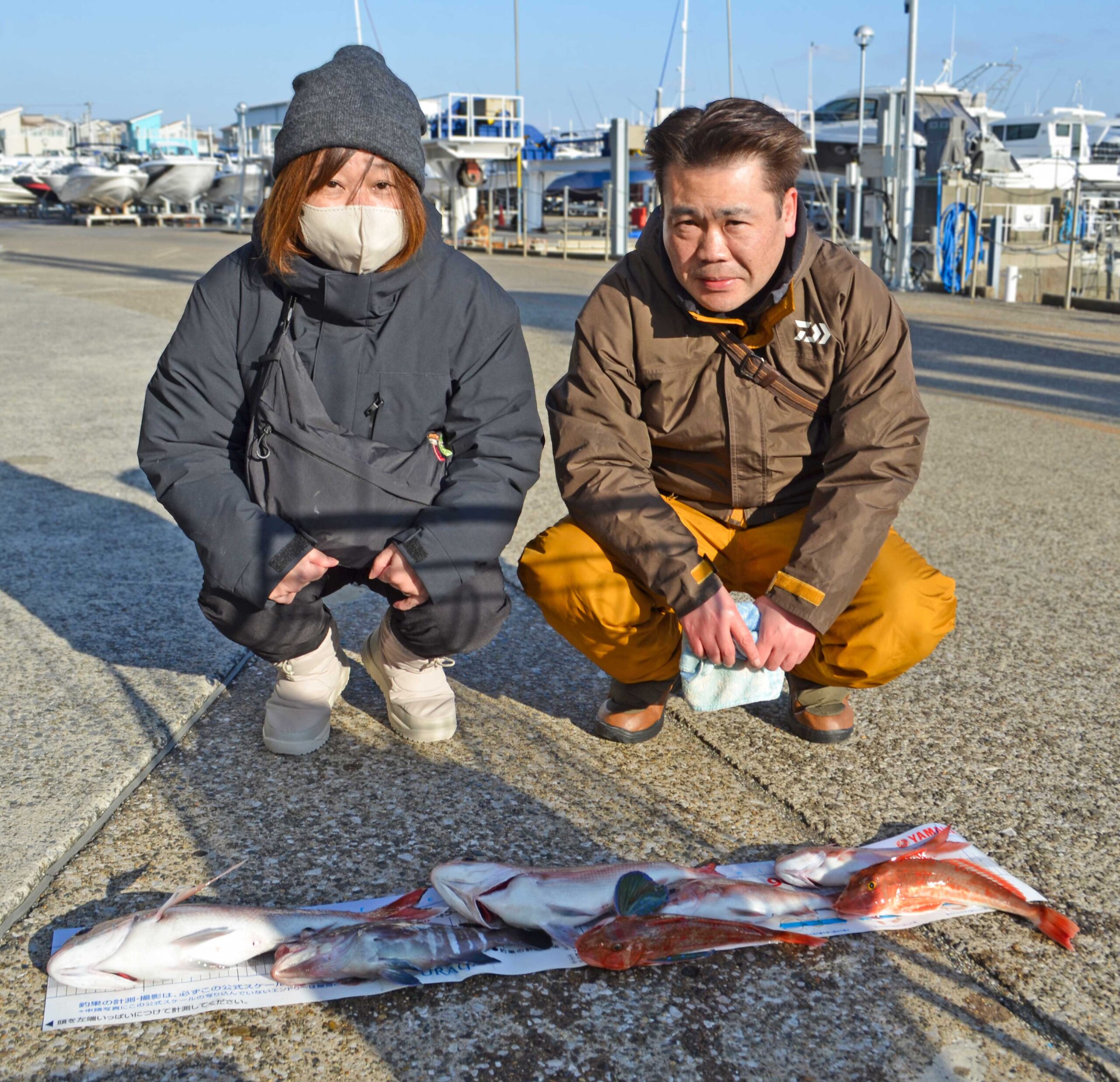 ✿マダイ・マハタ・ホウボウ✿