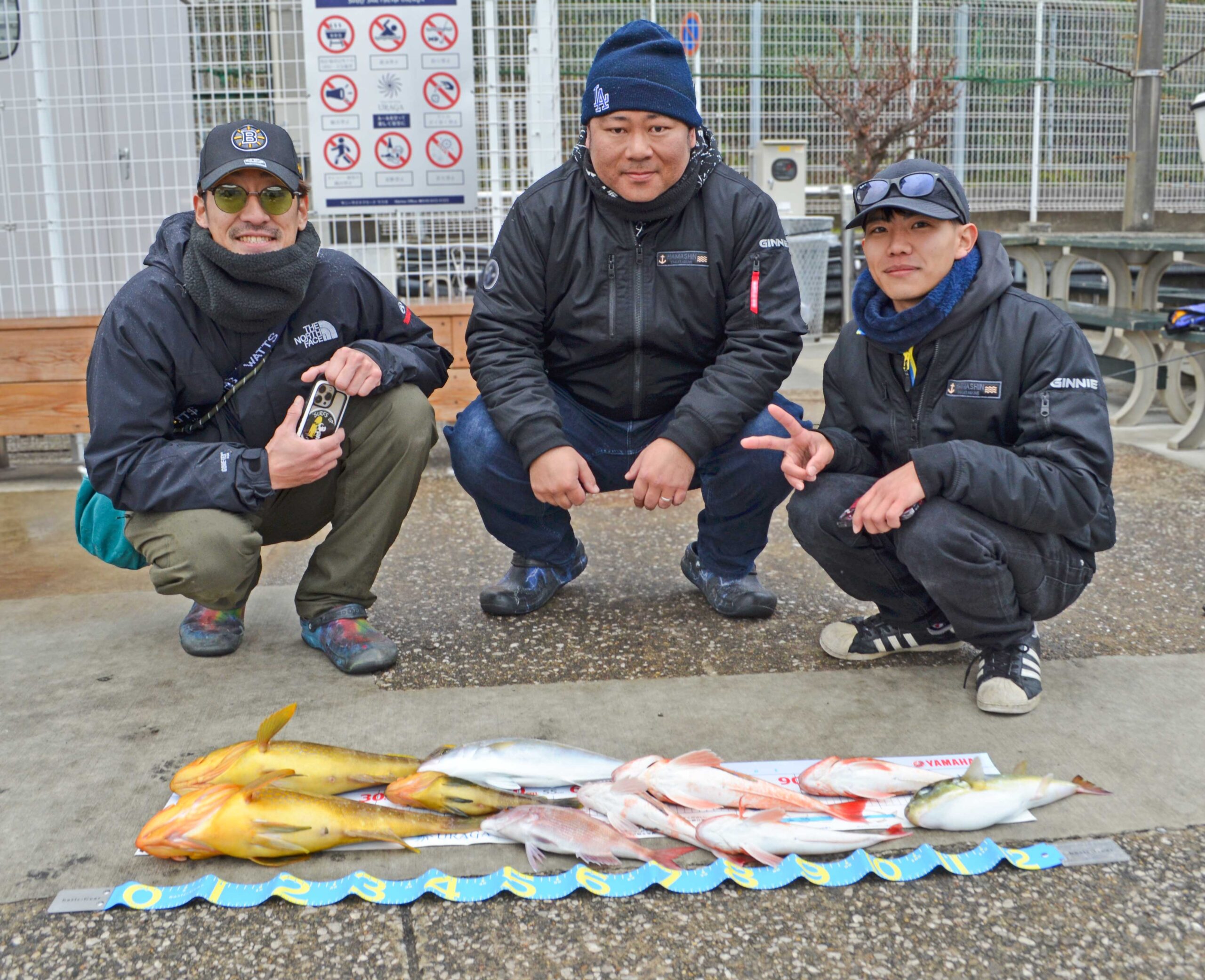 ✿アオハタ・ショゴ(カンパチ)・マダイ・ホウボウ・サバフグ✿