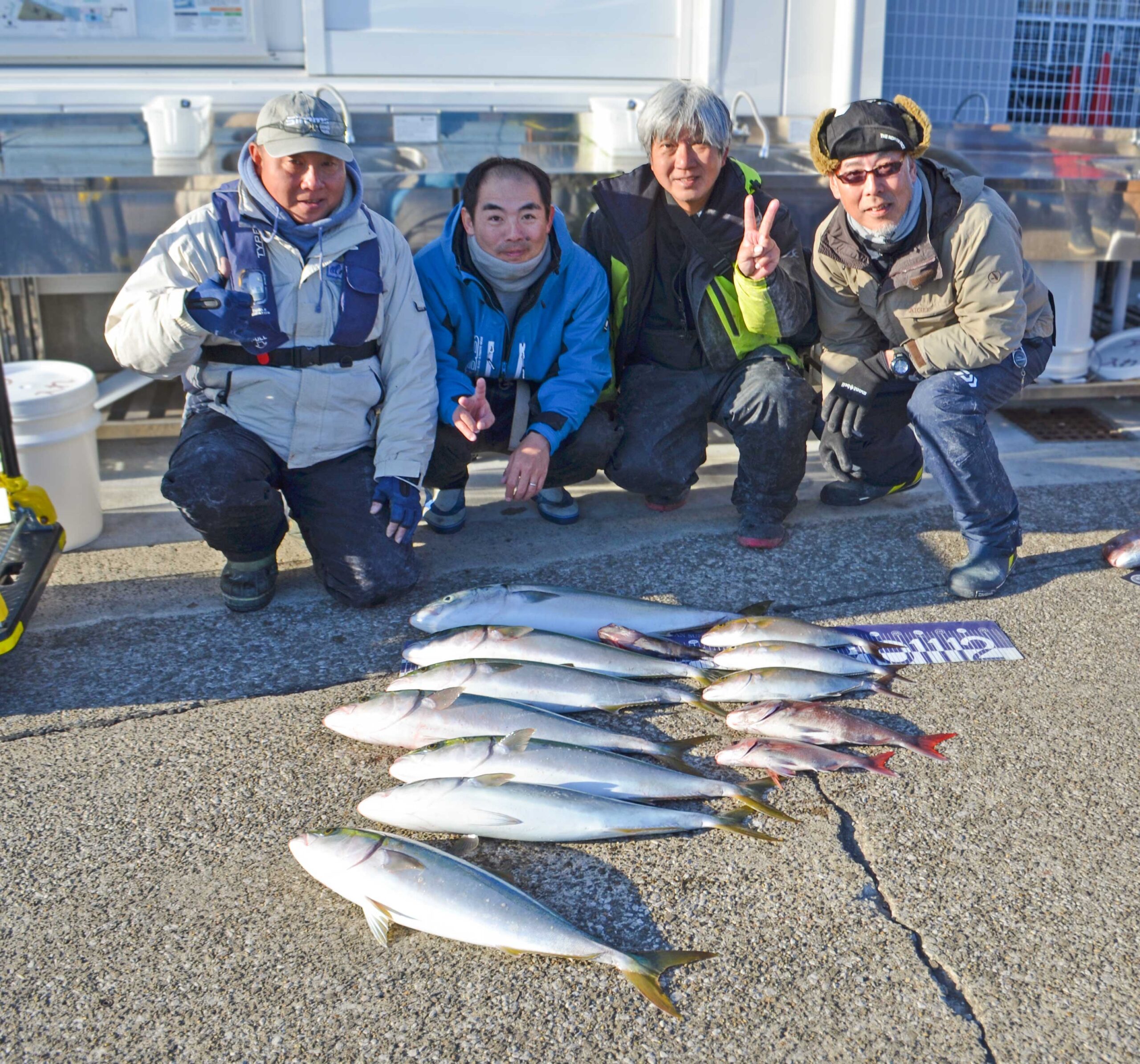 ✿ブリ・ワラサ・ショゴ(カンパチ)・マダイ・マハタ✿