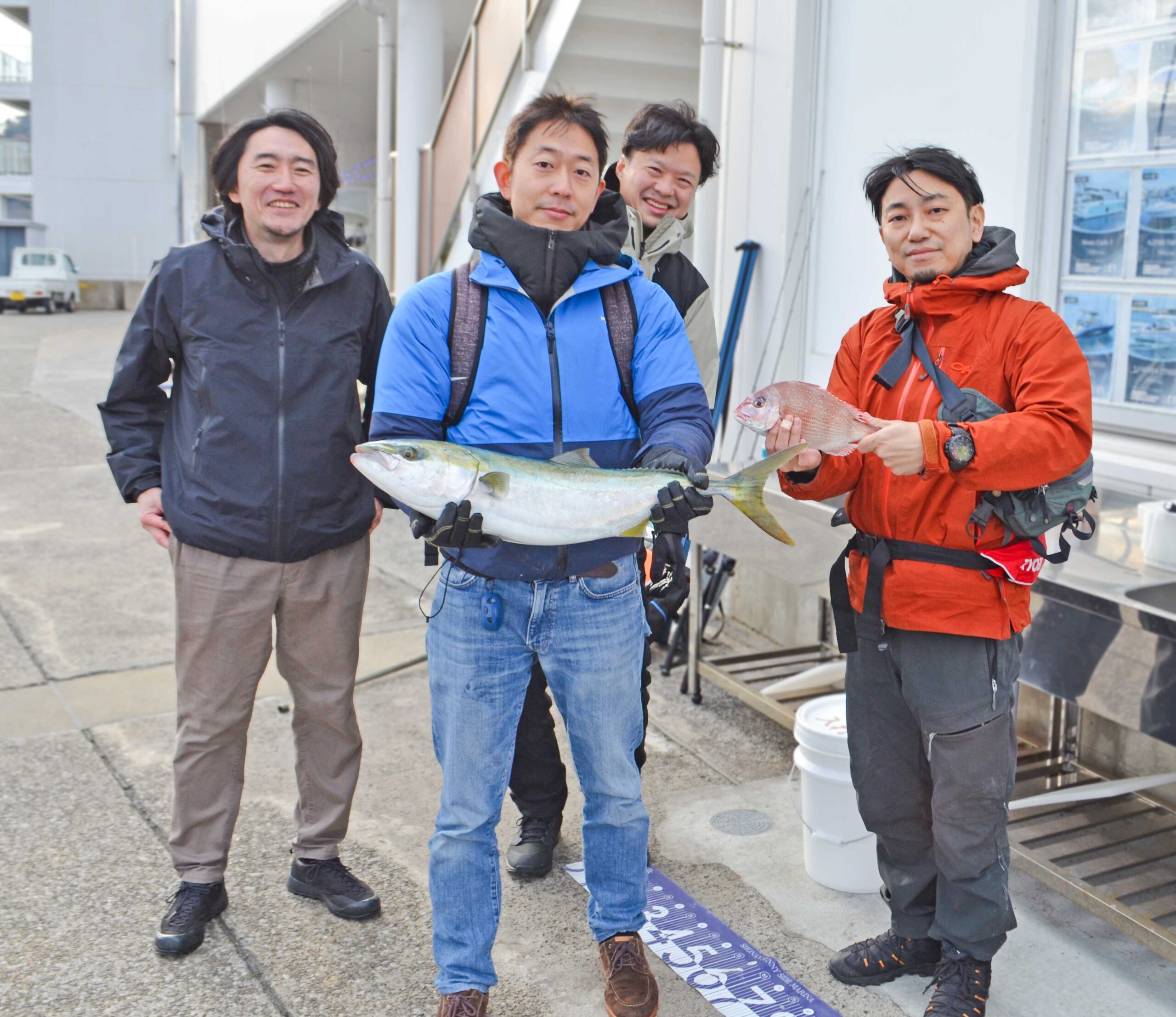 ✿ワラサ・マダイ✿