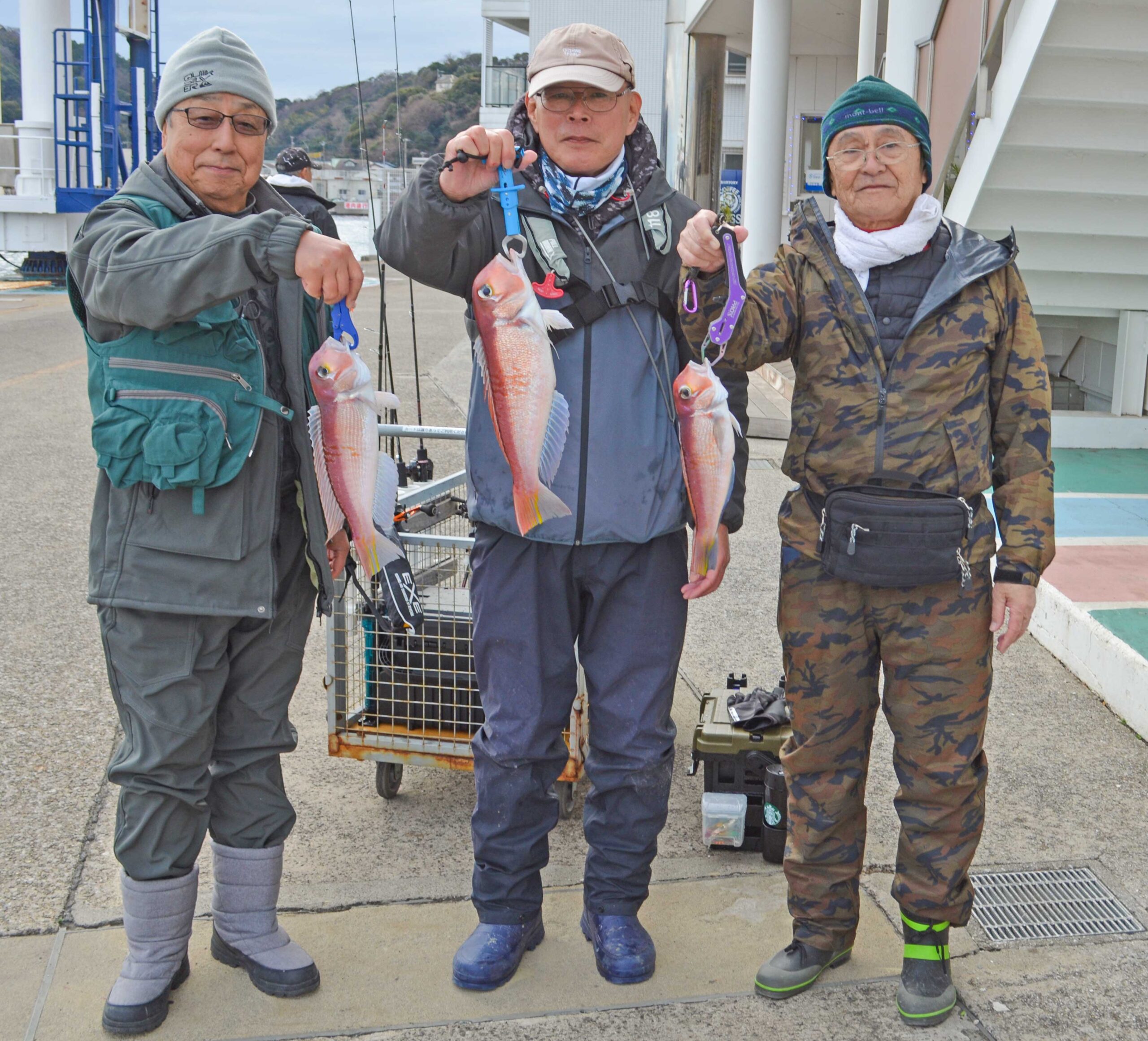 ✿アマダイ・マダイ・ホウボウ・ソコイトヨリ✿