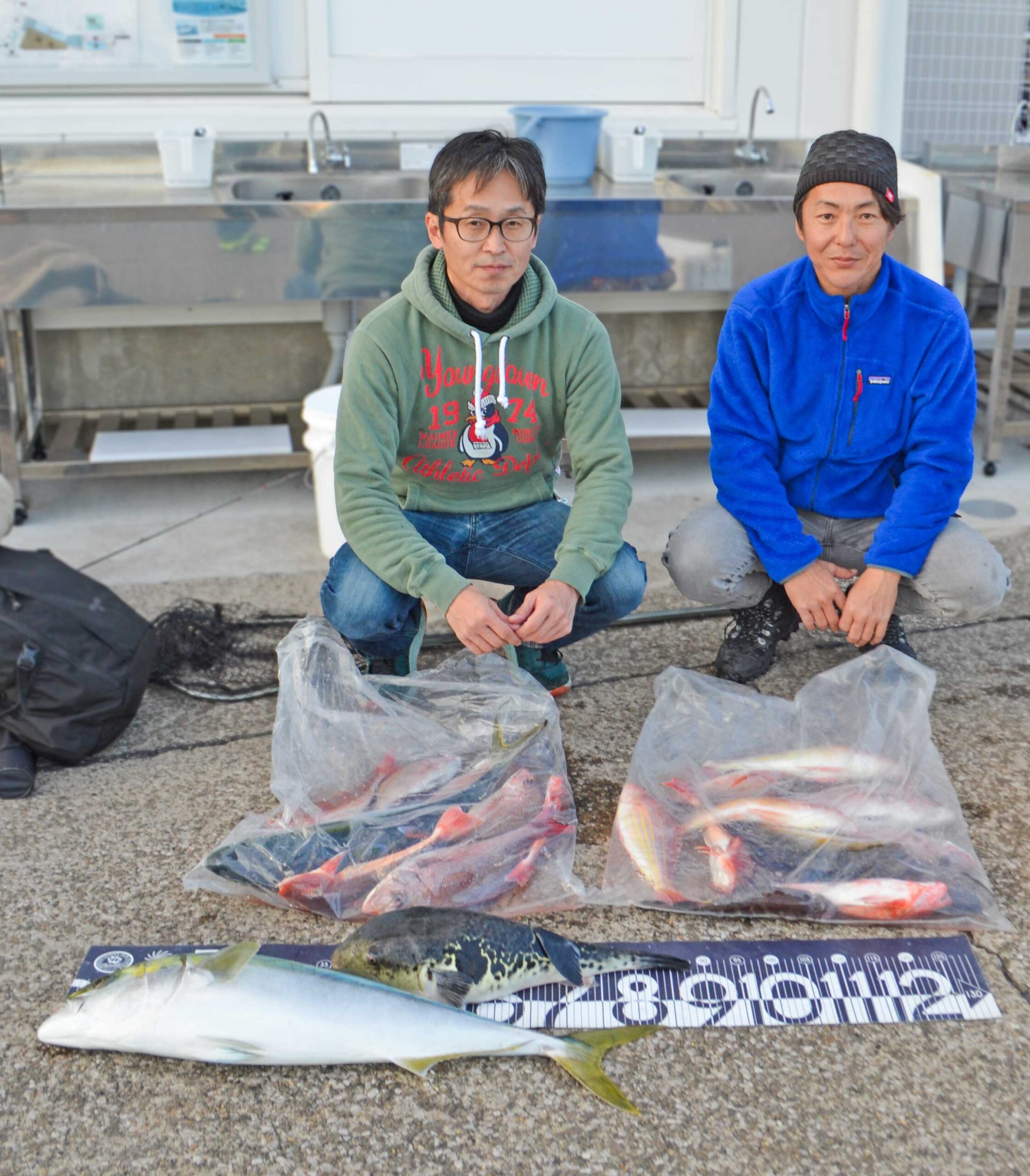 ✿ブリ・トラフグ・ワラサ・マダイ・ホウボウ・ショゴ(カンパチ)・イトヨリダイ✿