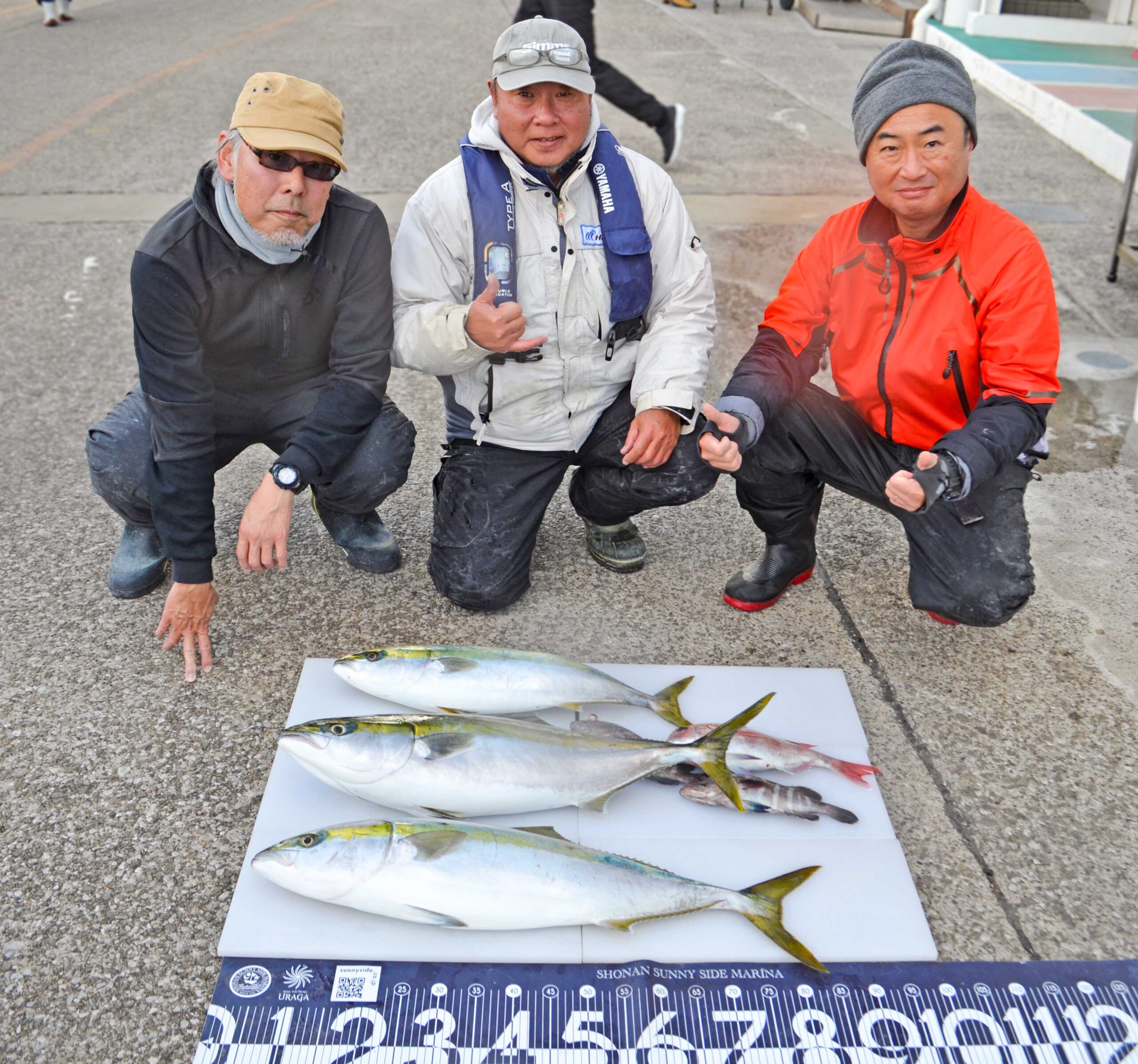 ✿ブリ・ワラサ・マダイ・マハタ✿