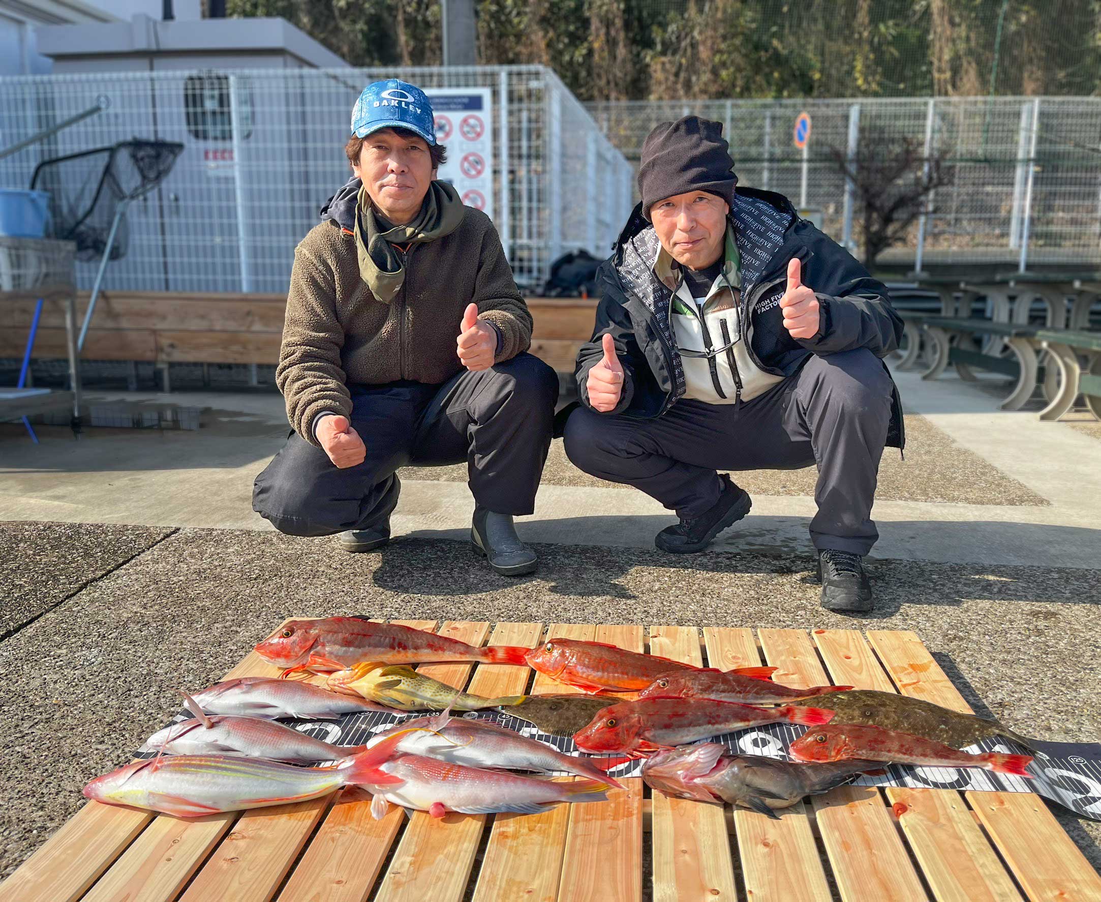 ✿マダイ・ホウボウ・イトヨリダイ・アオハタ・マハタ・ムシガレイ・アマダイ✿