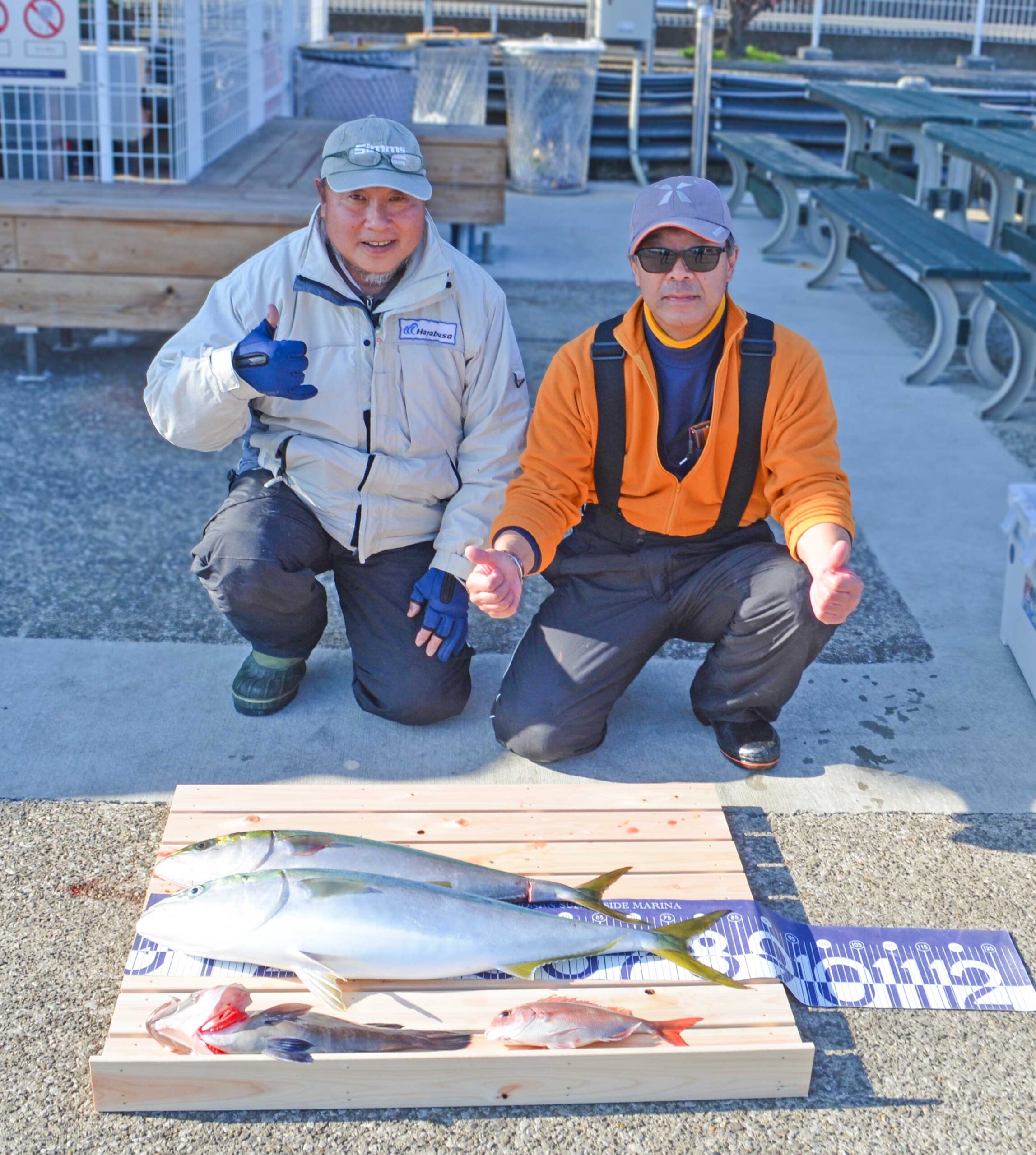 ✿ブリ・ワラサ・マハタ・マダイ✿